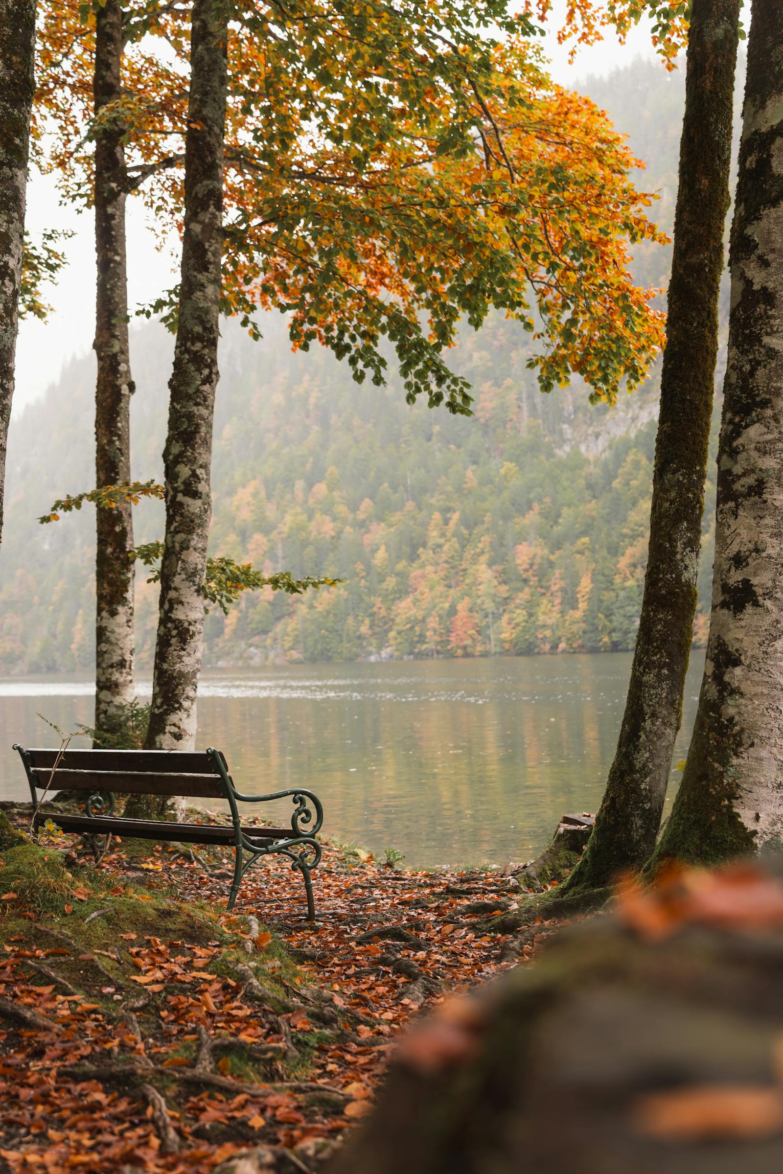 Peaceful autumn scene by a lake in Bad Aussee, Styria with a bench and trees.