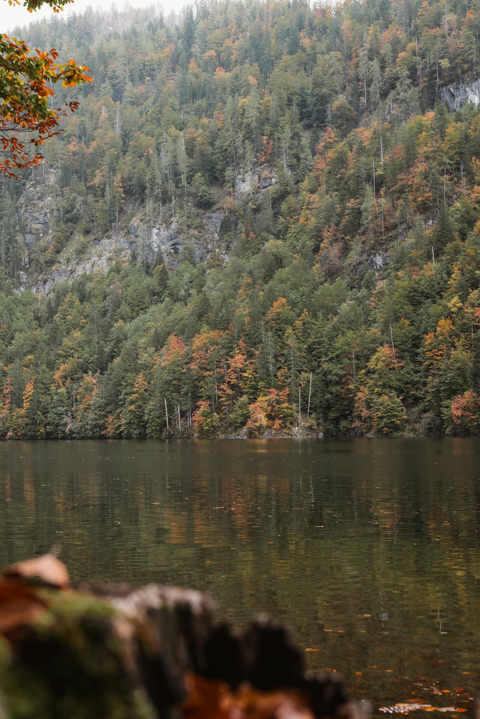 Tranquil autumn lake and majestic cliffs in Styria, Austria offering serene reflections.