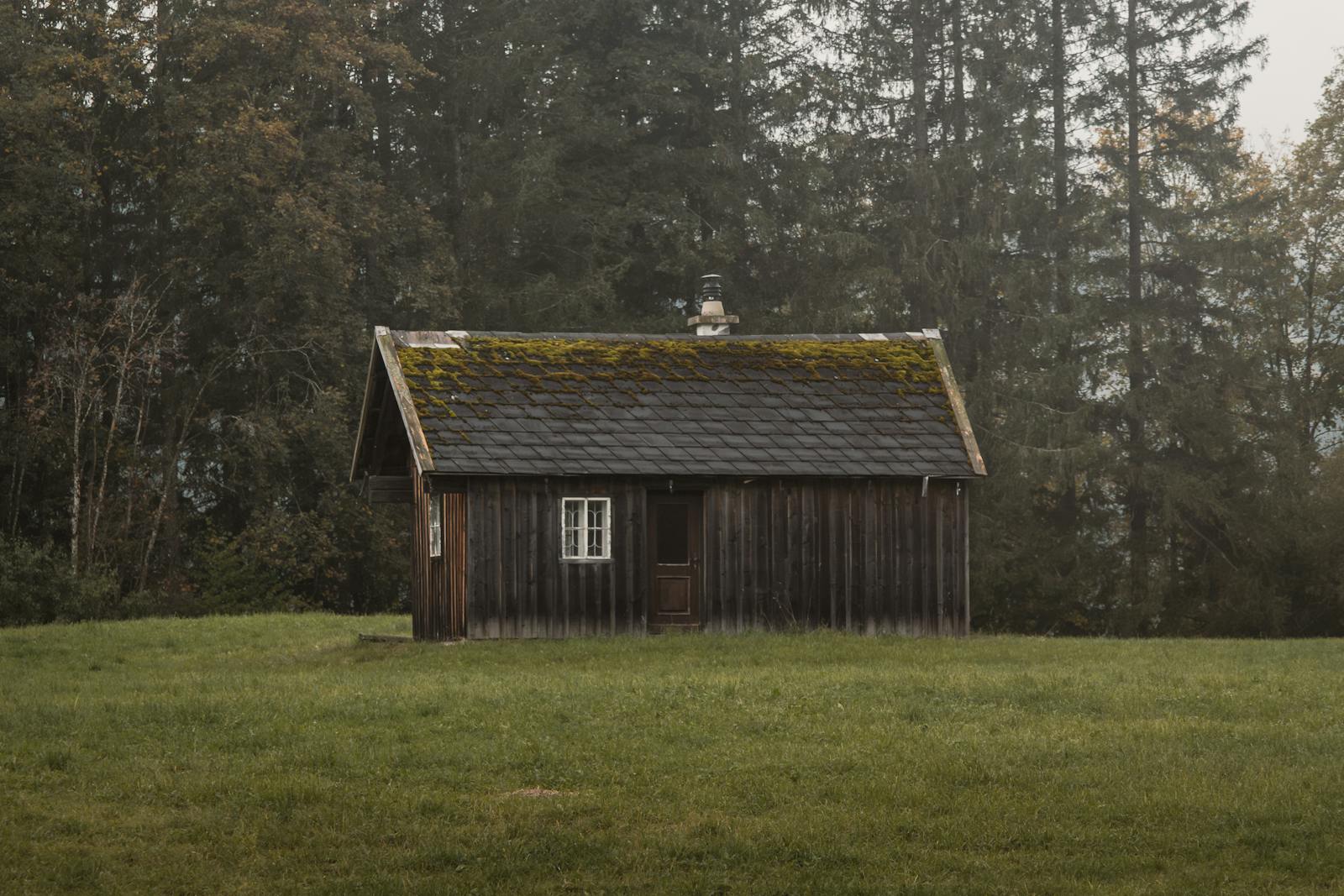 A rustic wooden cabin nestled in a misty forest in Styria, Austria, offering a serene and peaceful retreat.