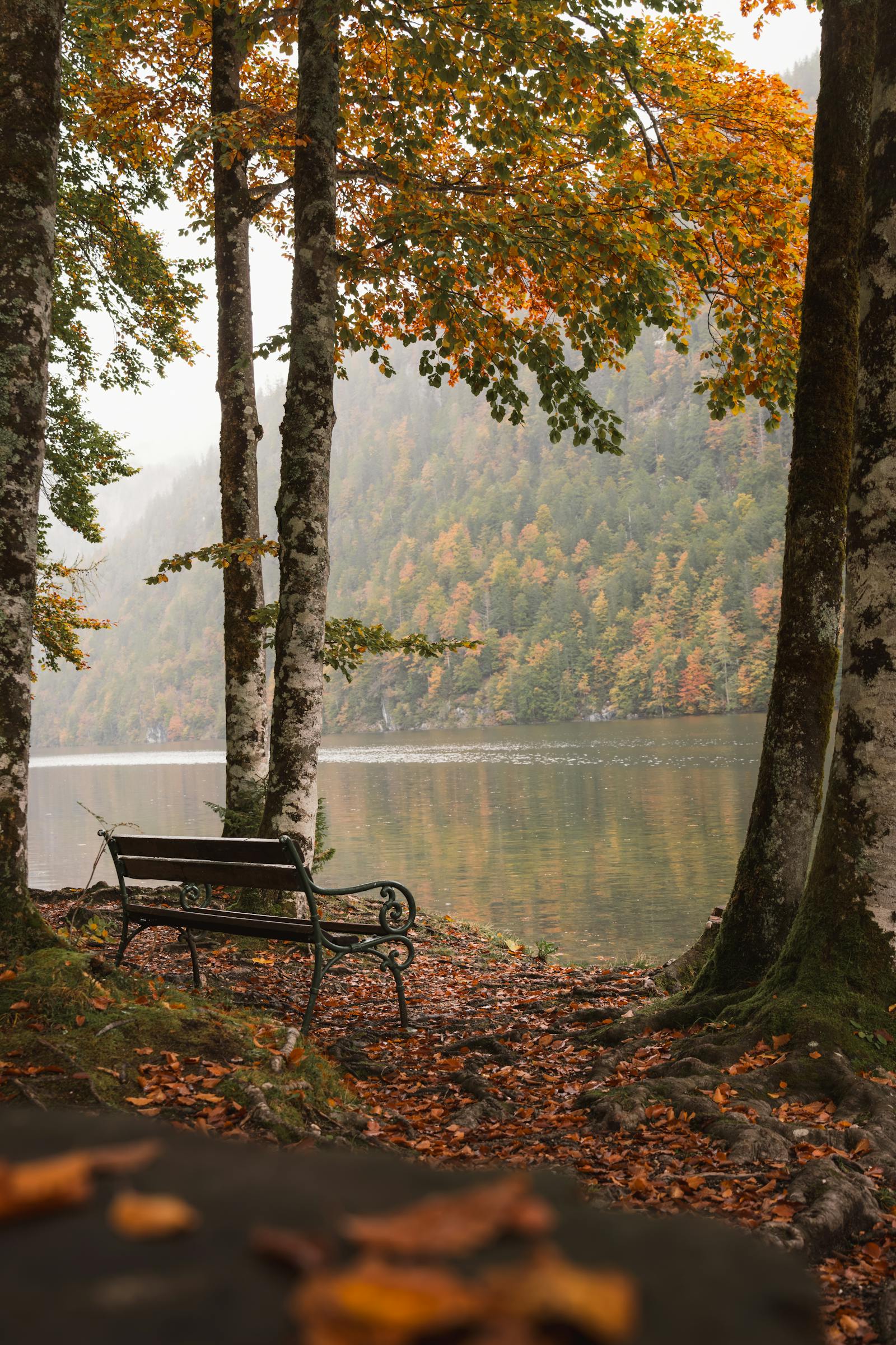 Peaceful autumn scene with a bench by a lake in Bad Aussee, Austria.