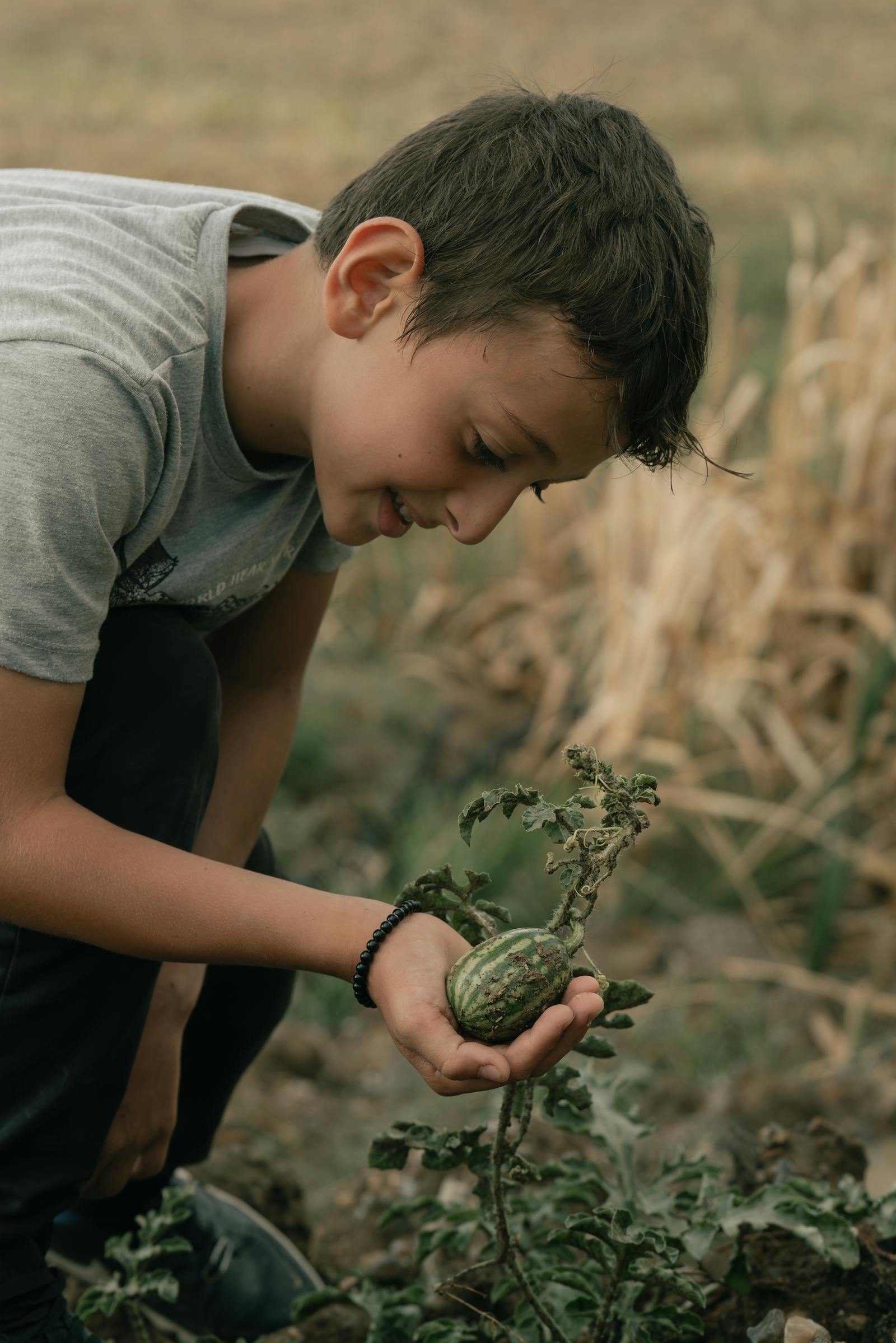 Young boy discovers a plant in the garden, showcasing playful learning and curiosity outdoors.