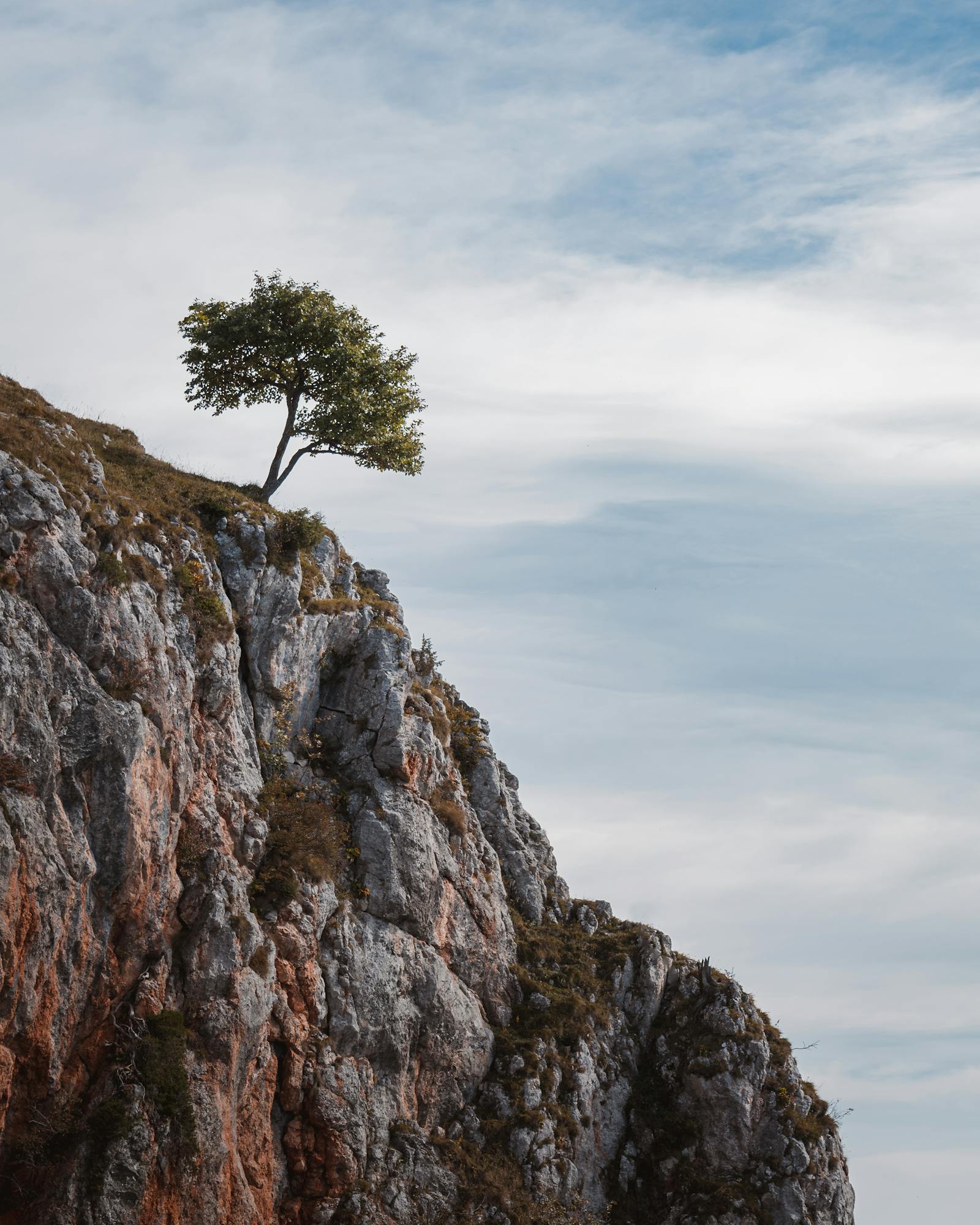 A solitary tree stands atop a rugged cliff in Graz, Austria, capturing a sense of isolation and tranquility.