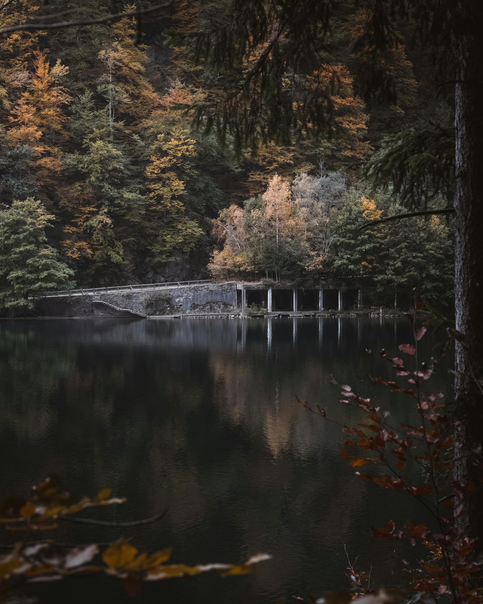 Tranquil autumn forest scene with a serene lake and rich foliage reflection in Leoben, Austria.