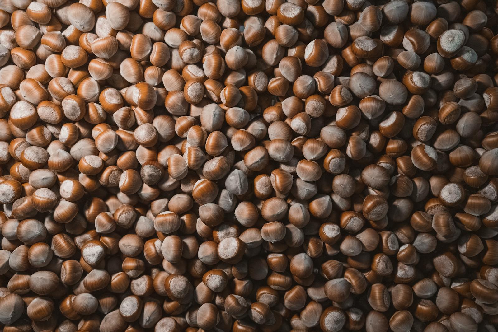 Top view of a large batch of organic hazelnuts, emphasizing texture and natural patterns.