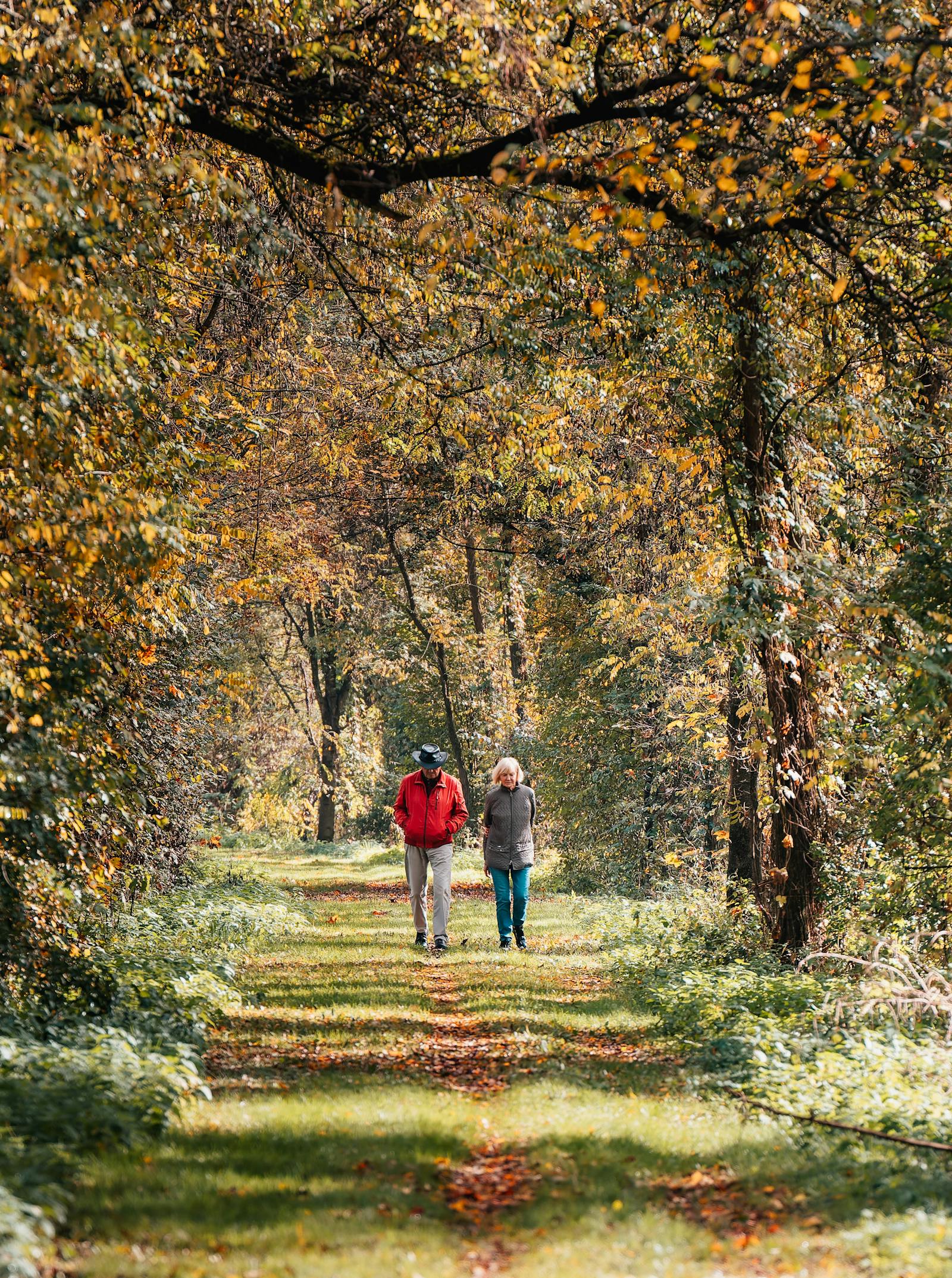 Elderly couple enjoying a tranquil walk along a scenic autumn forest trail in Graz, Austria.