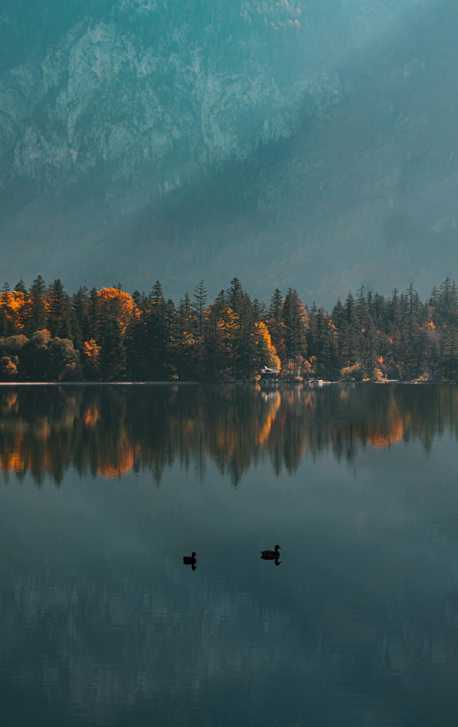 Peaceful autumn scene with ducks on a tranquil lake in Eisenerz, Austria.