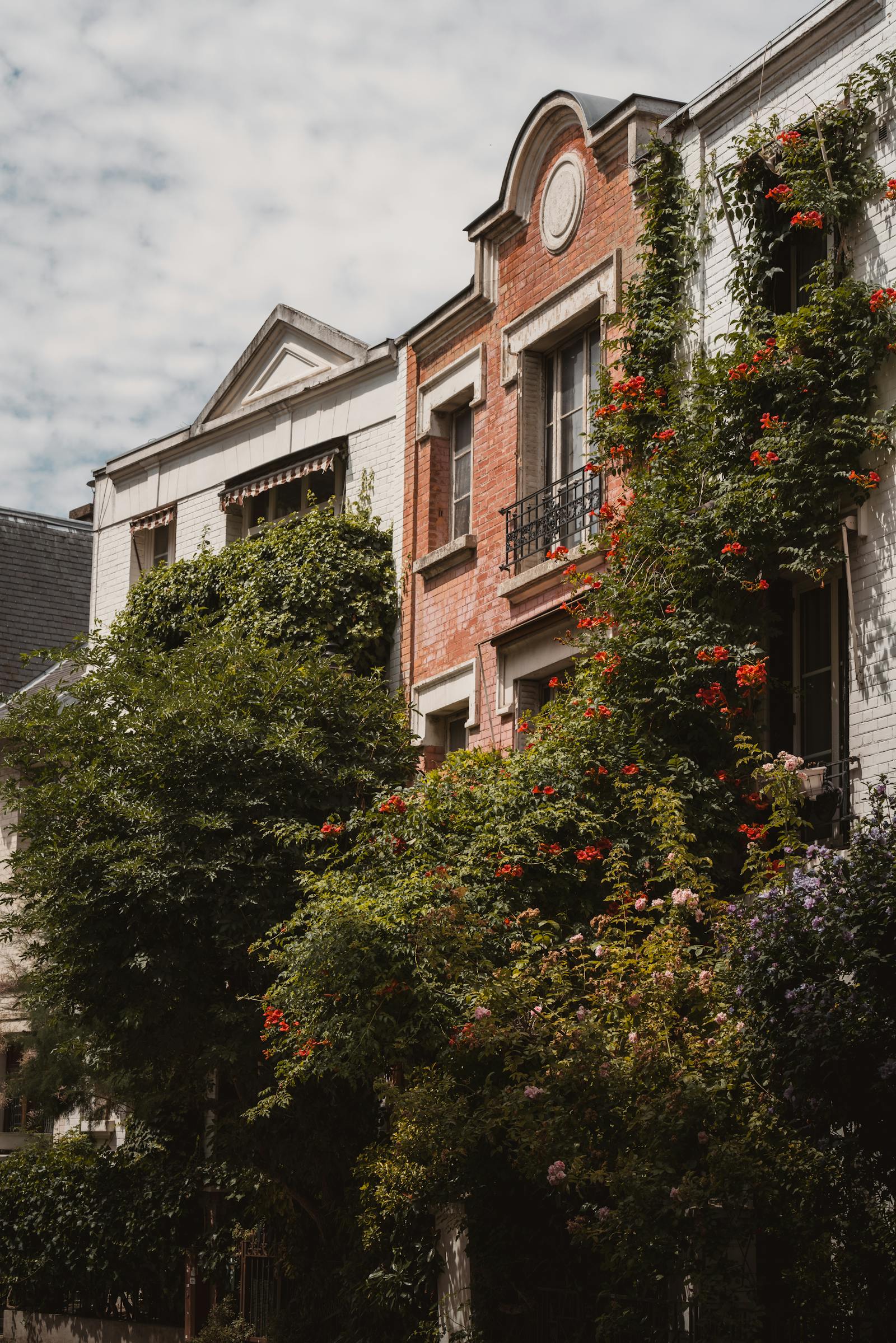 Charming ivy-clad facades on a peaceful street in Paris.