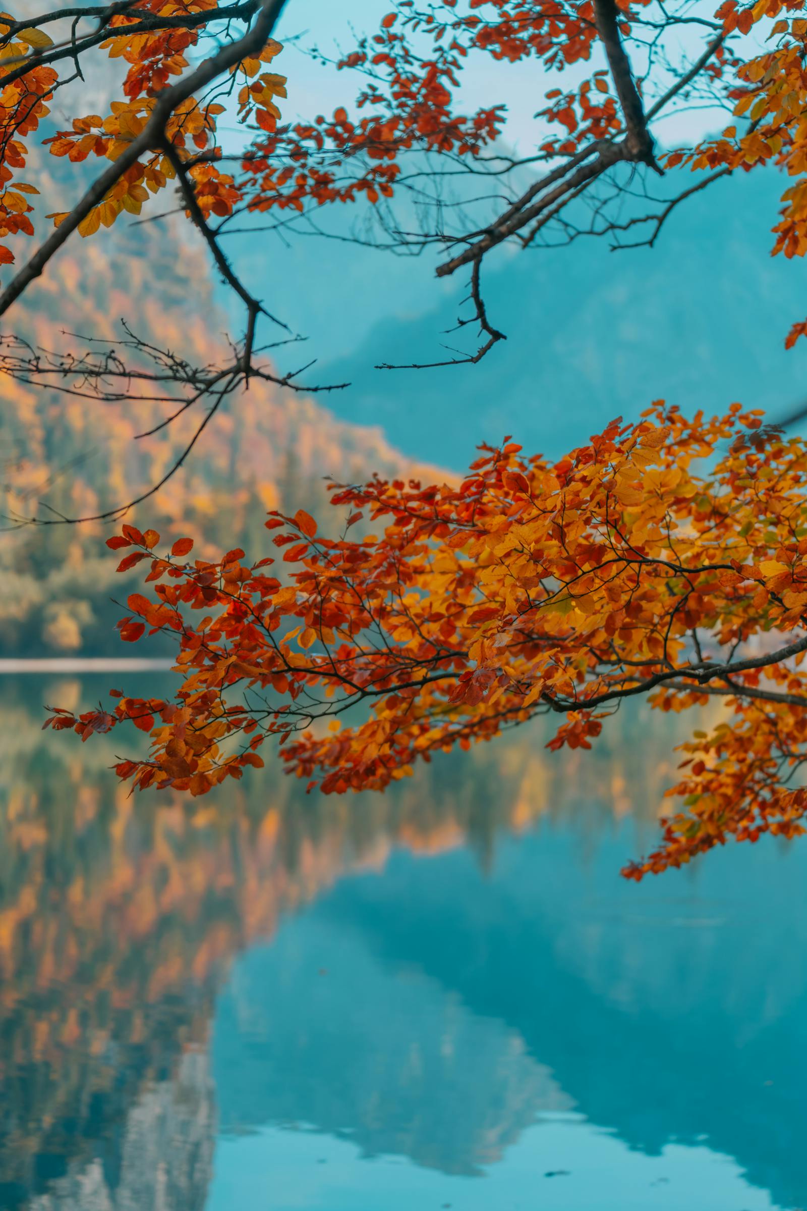 Peaceful autumn scene with colorful leaves and lake reflection in Eisenerz, Austria.