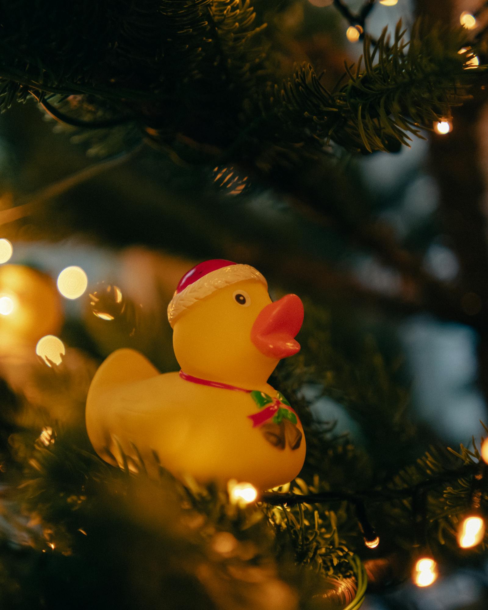 A cute rubber duck ornament with a Santa hat on a Christmas tree branch.