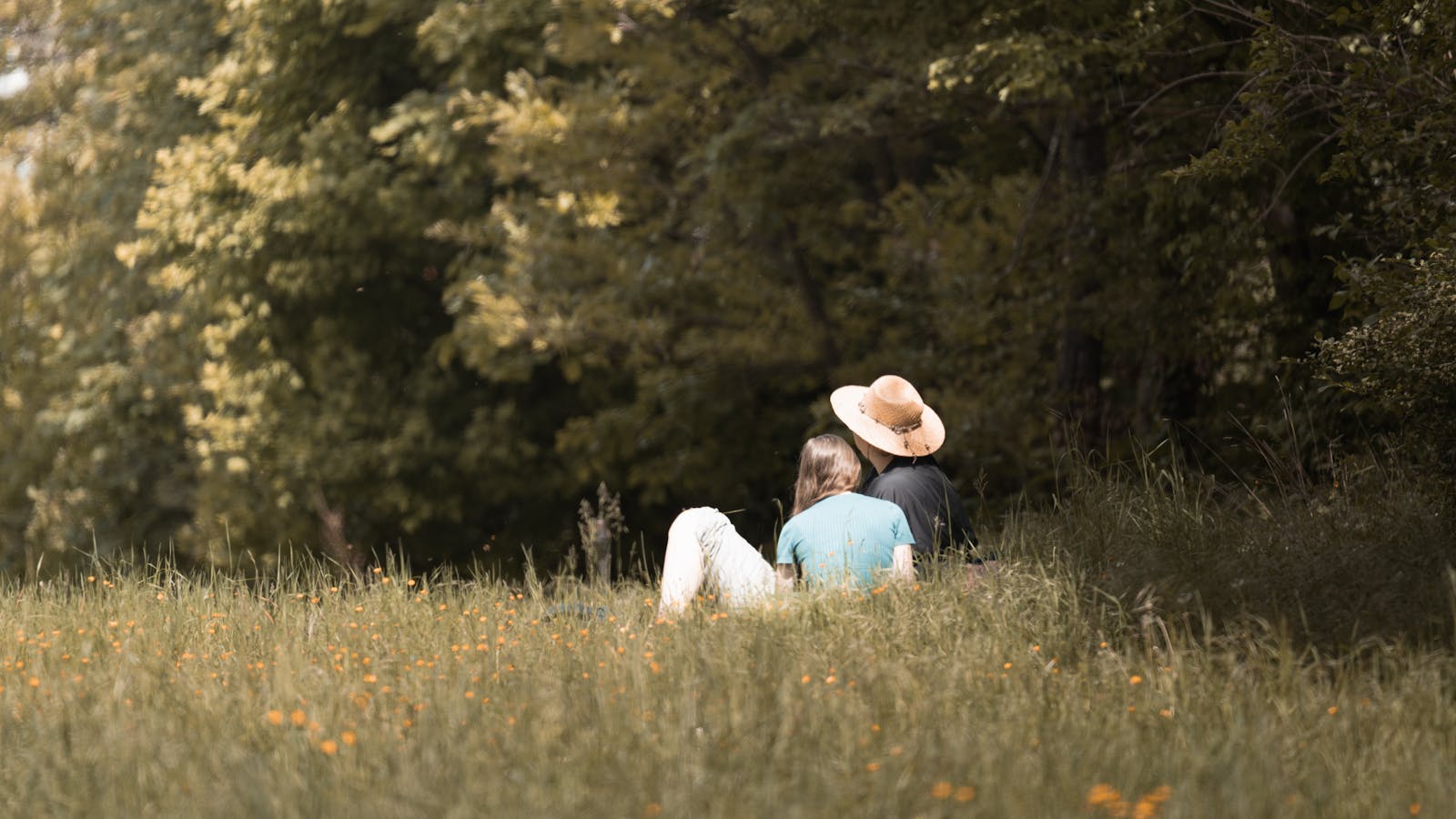 A couple enjoys a tranquil picnic in a grassy meadow during summer.