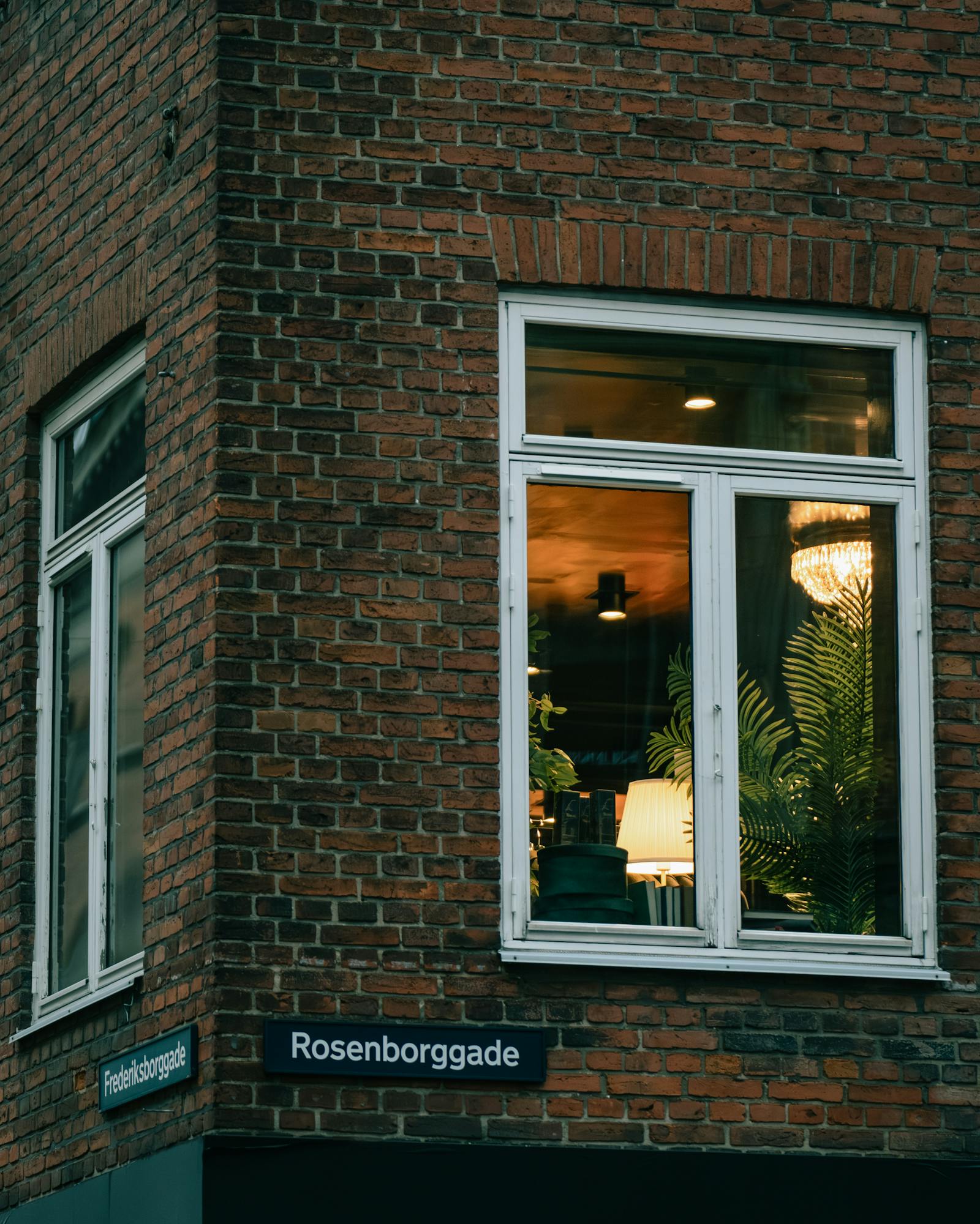 Stylish Copenhagen street corner showcasing windows with warm lighting and indoor plants.