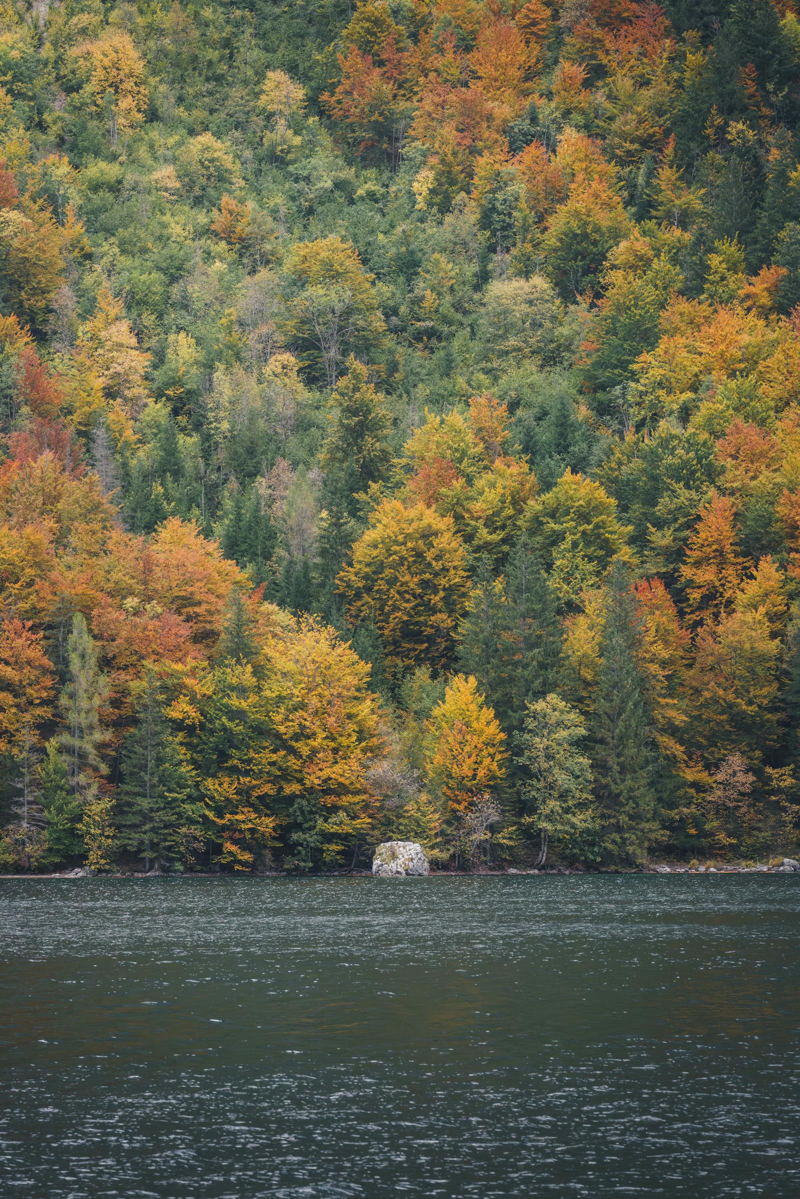 Stunning autumn landscape of colorful forest by a tranquil lake in Eisenerz, Austria.