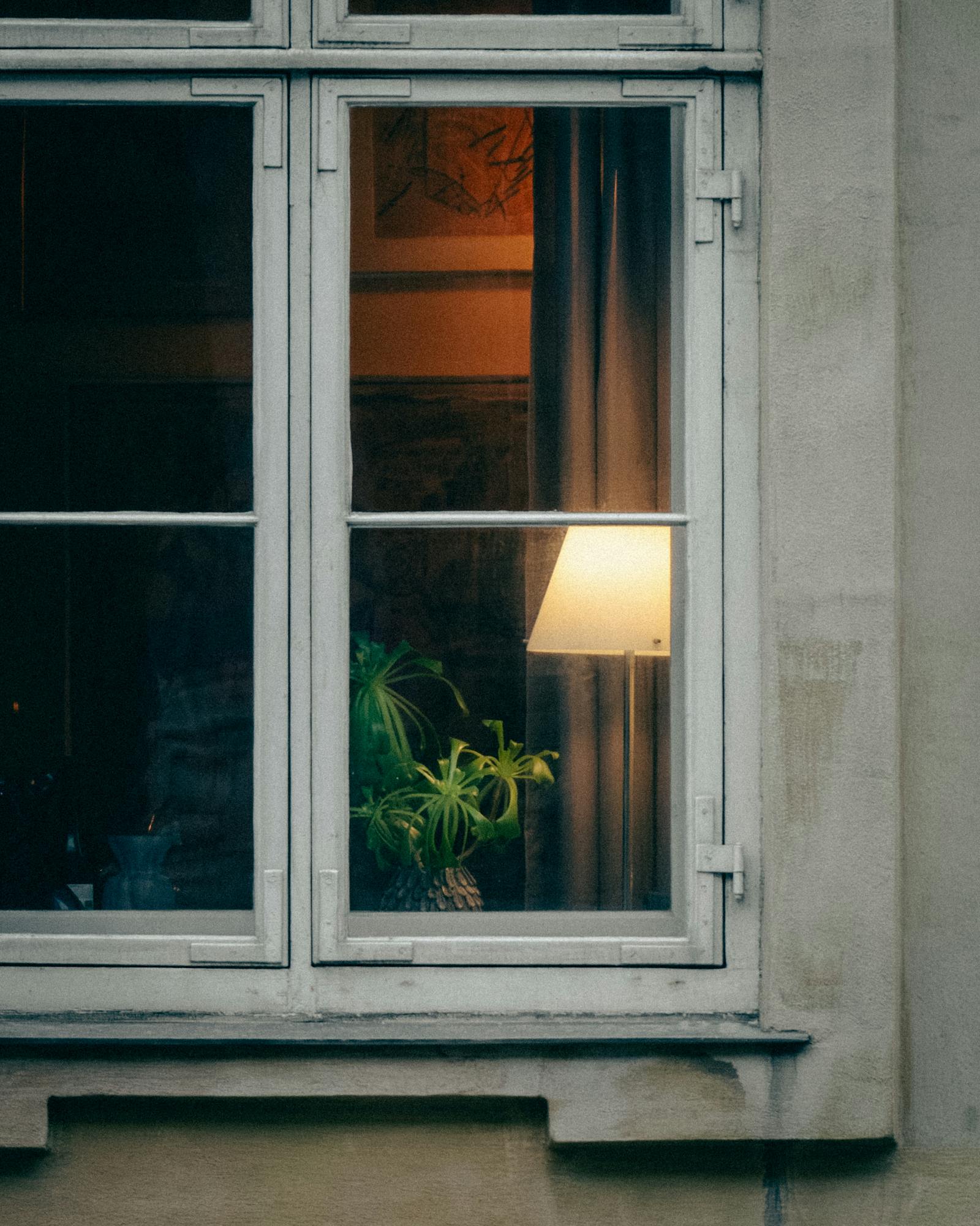 Warm indoor light and green plant seen through Copenhagen window at night.