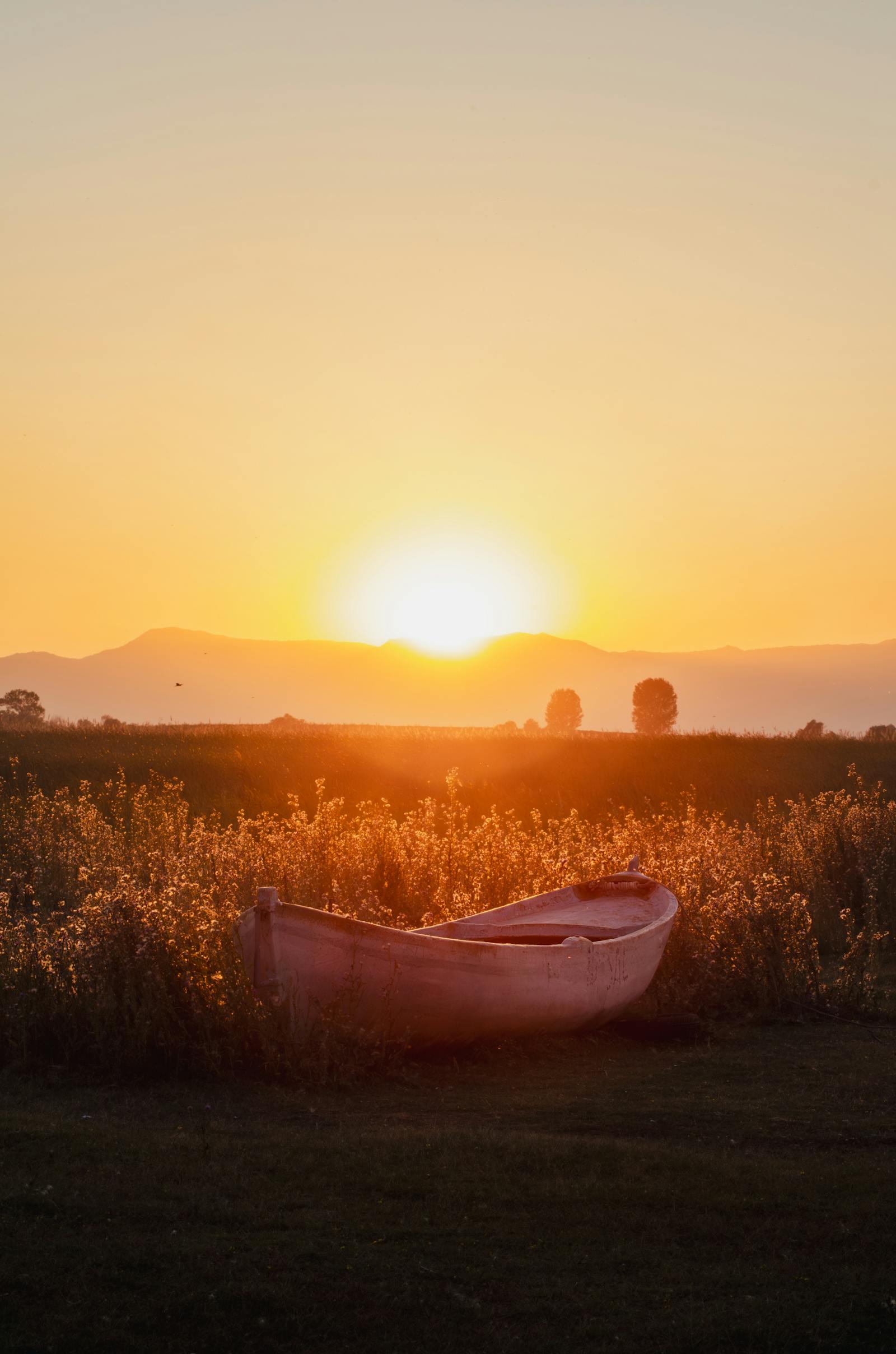 A serene sunrise over a solitary boat in a meadow creates a tranquil atmosphere, ideal for backgrounds.