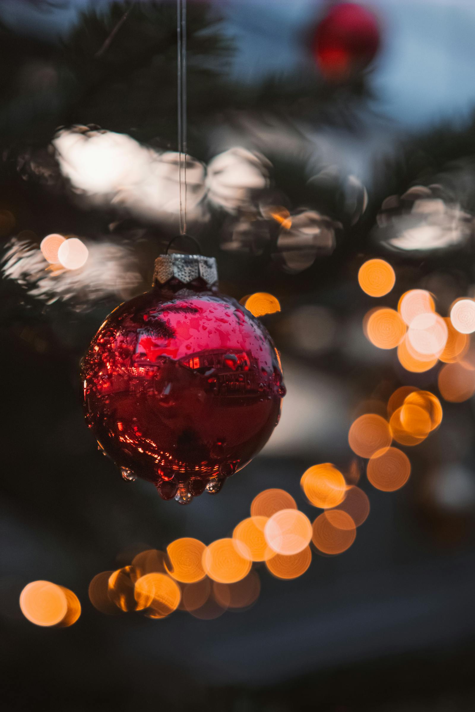 Close-up of a red Christmas bauble on a decorated tree branch with blurred lights.