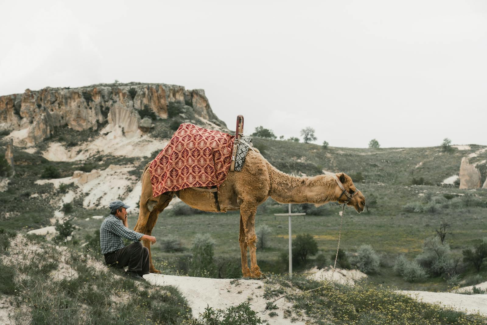 Rural scene in Türkiye featuring a man and camel in a rocky landscape.