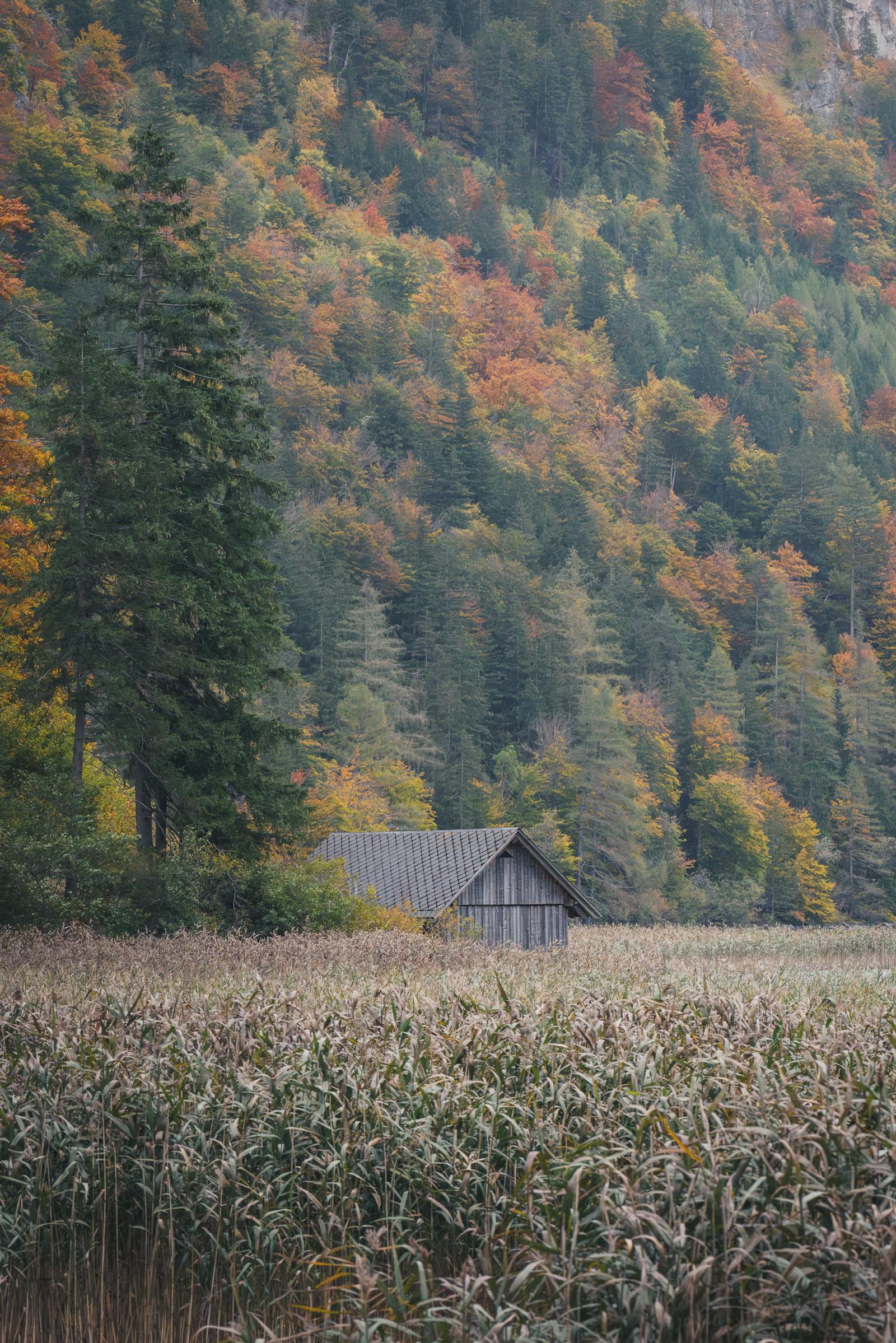 Charming cabin surrounded by autumn foliage in Eisenerz, Austria.