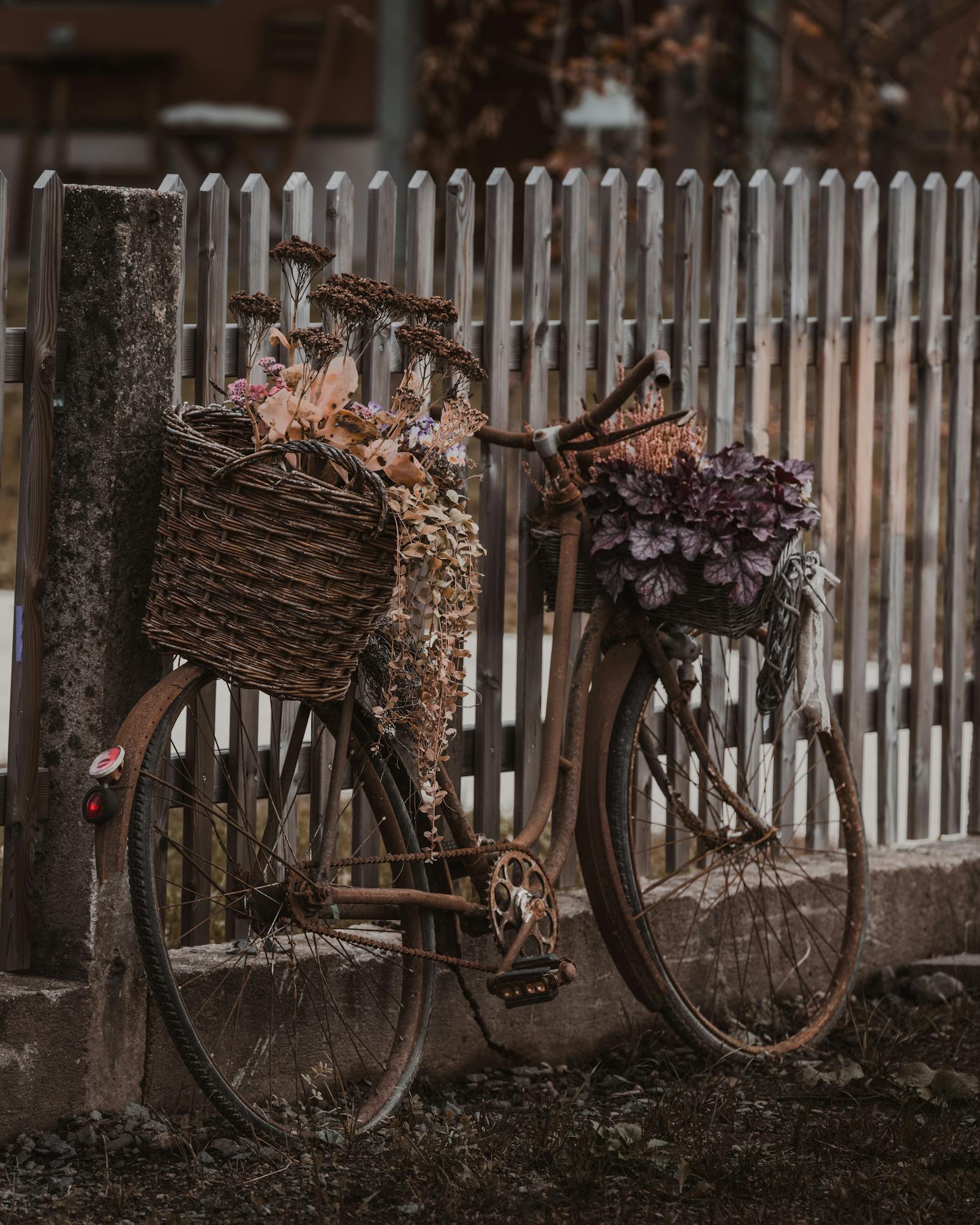 Rusty vintage bicycle with flowers in Graz, Austria.