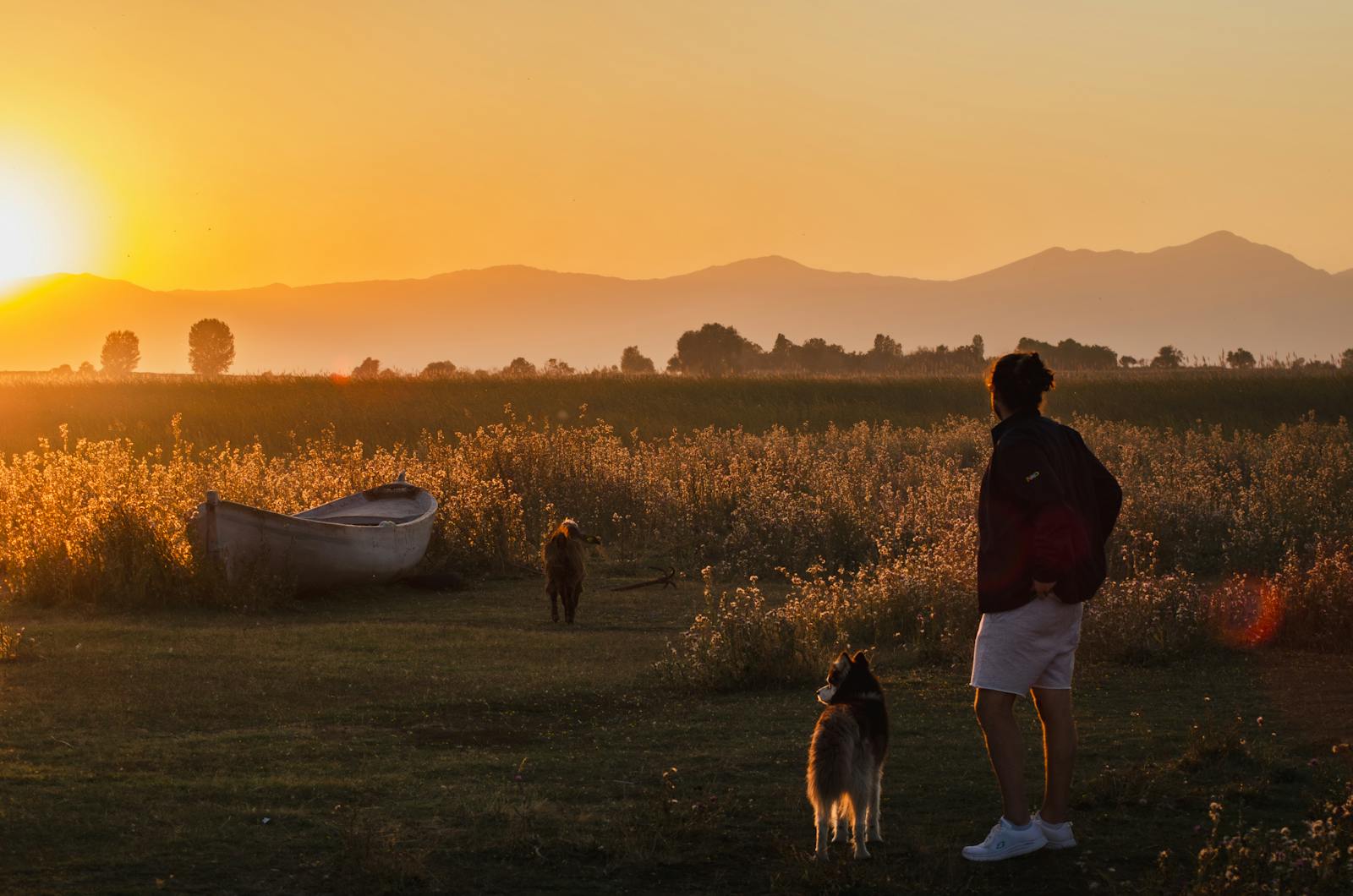 A serene evening with a person and dogs by a boat at sunset in Beyşehir, Konya.