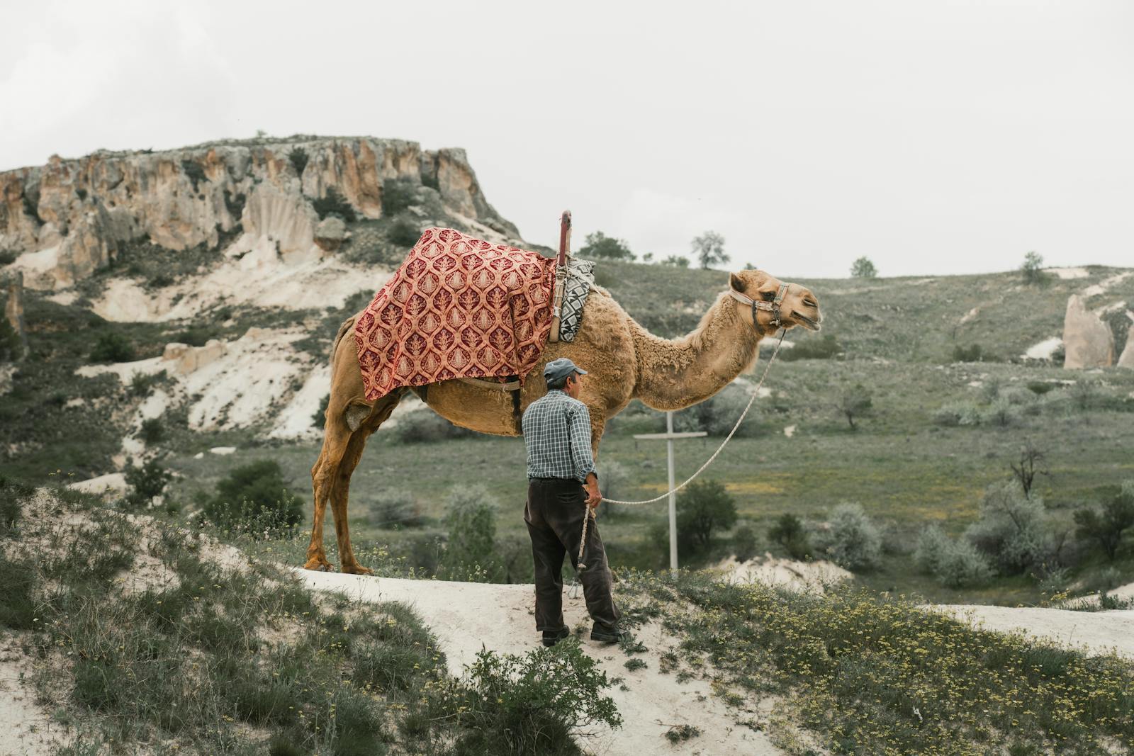 A man stands with a camel in the picturesque landscape of Cappadocia, Türkiye.