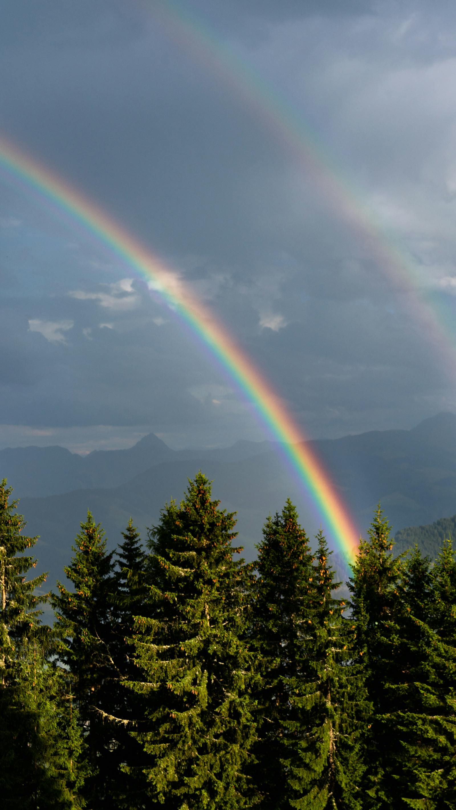 Double rainbow arches over lush forest in Tyrol, Austria. Stunning natural scenery.