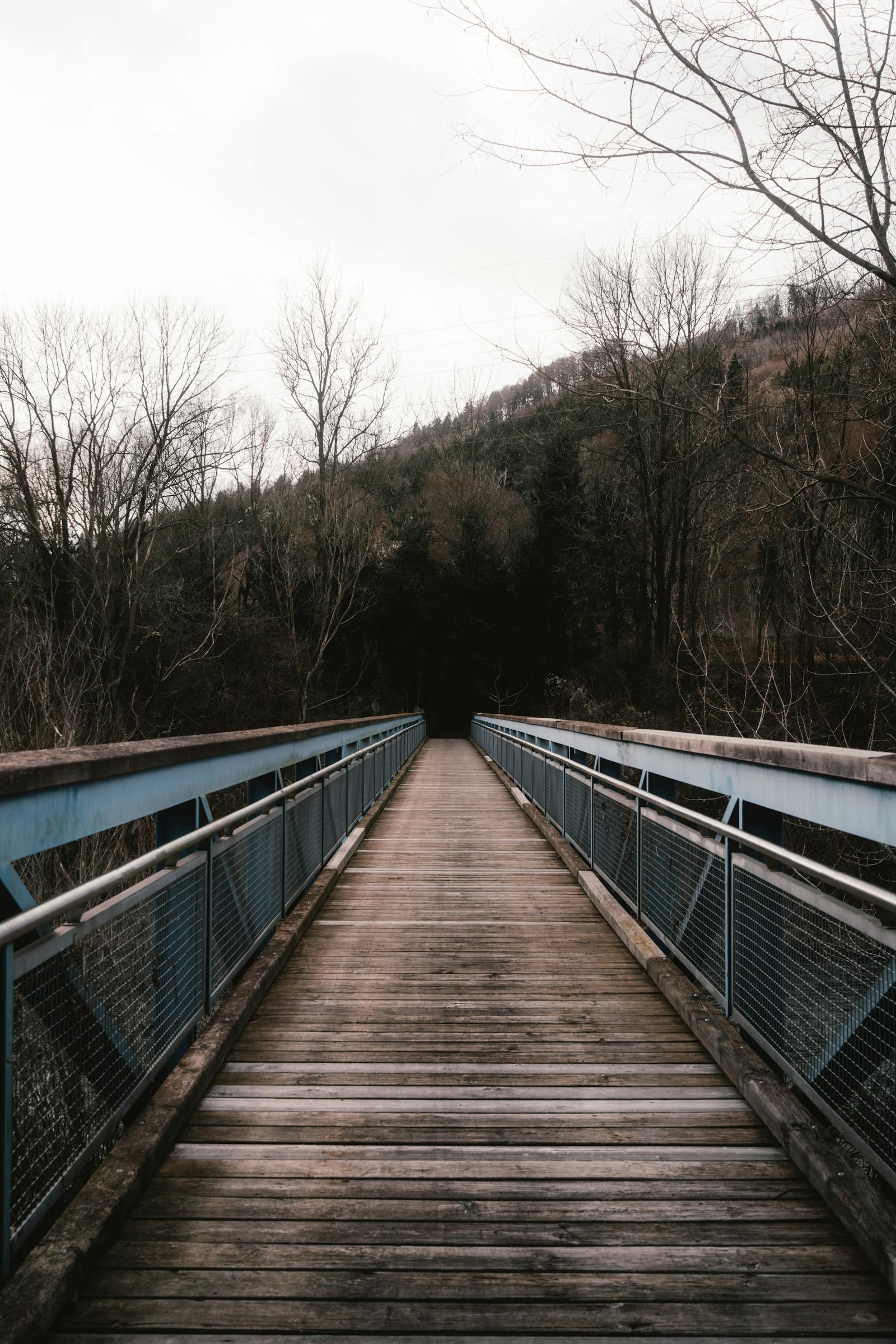 scenic wooden bridge in mixnitz austria