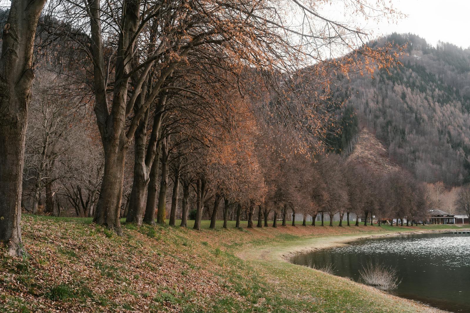 Tranquil Lakeside Autumn in Steiermark Austria