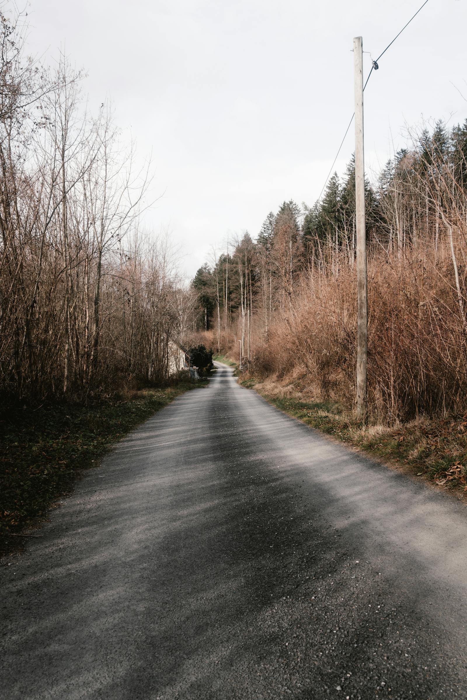 scenic autumn pathway in austrian countryside