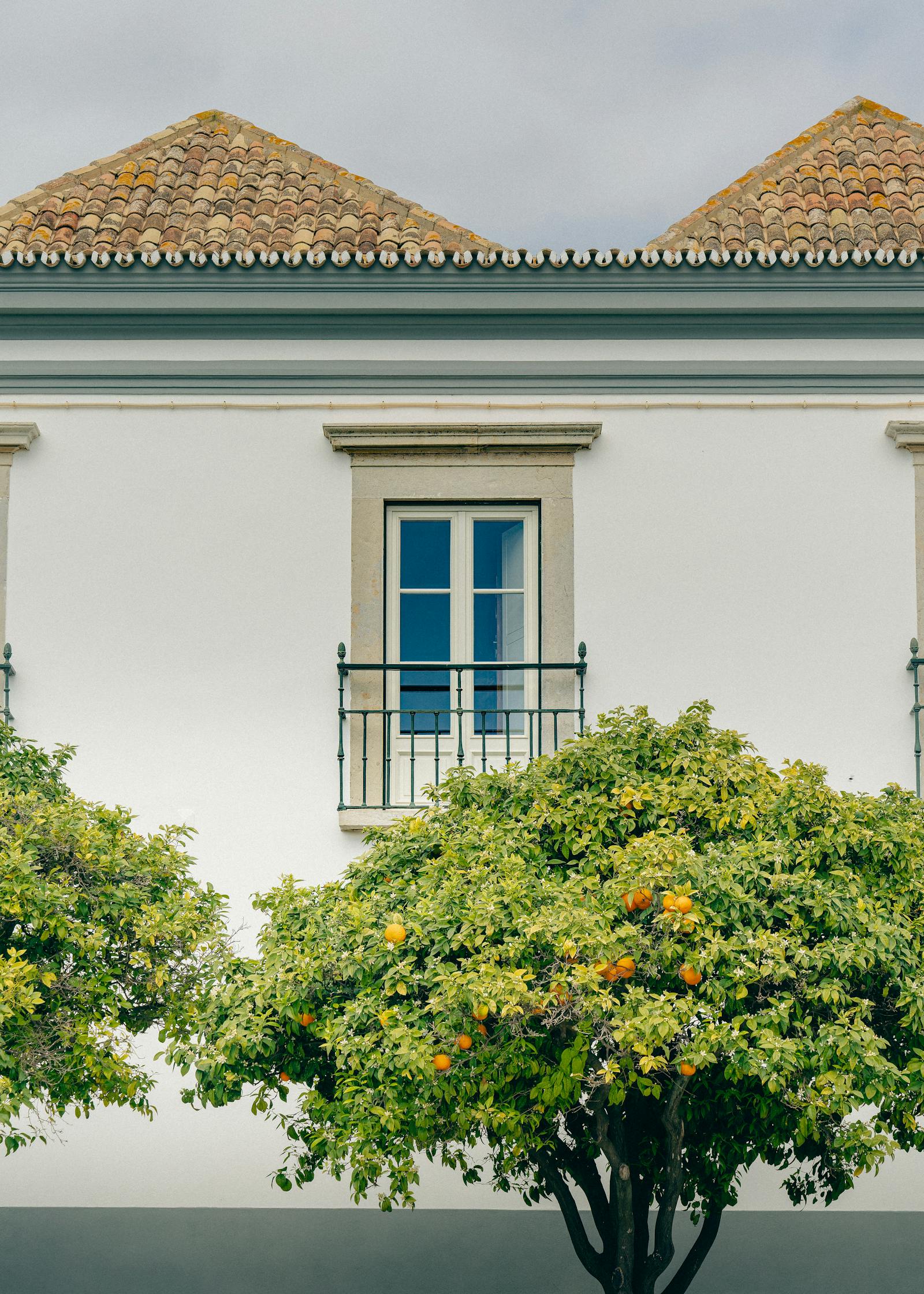 Elegant architectural facade with orange trees in Faro, Algarve, showcasing classic residential style.