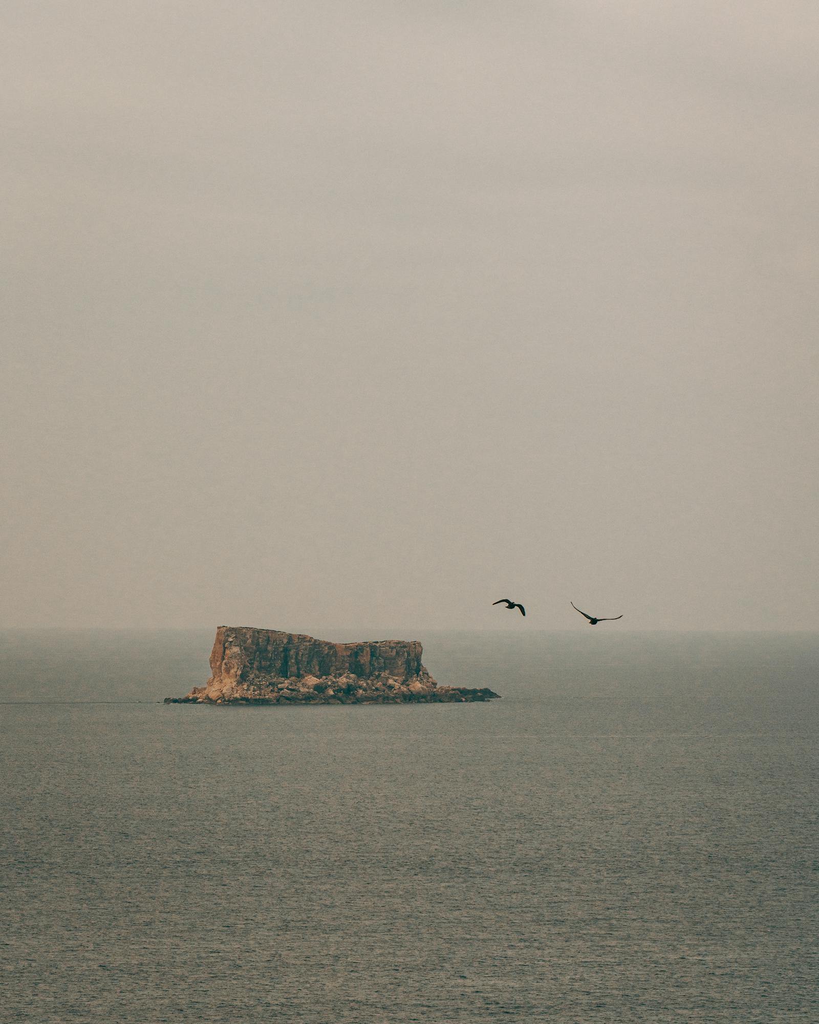 A serene view of a small islet in Sliema, Malta with birds flying overhead under a cloudy sky.