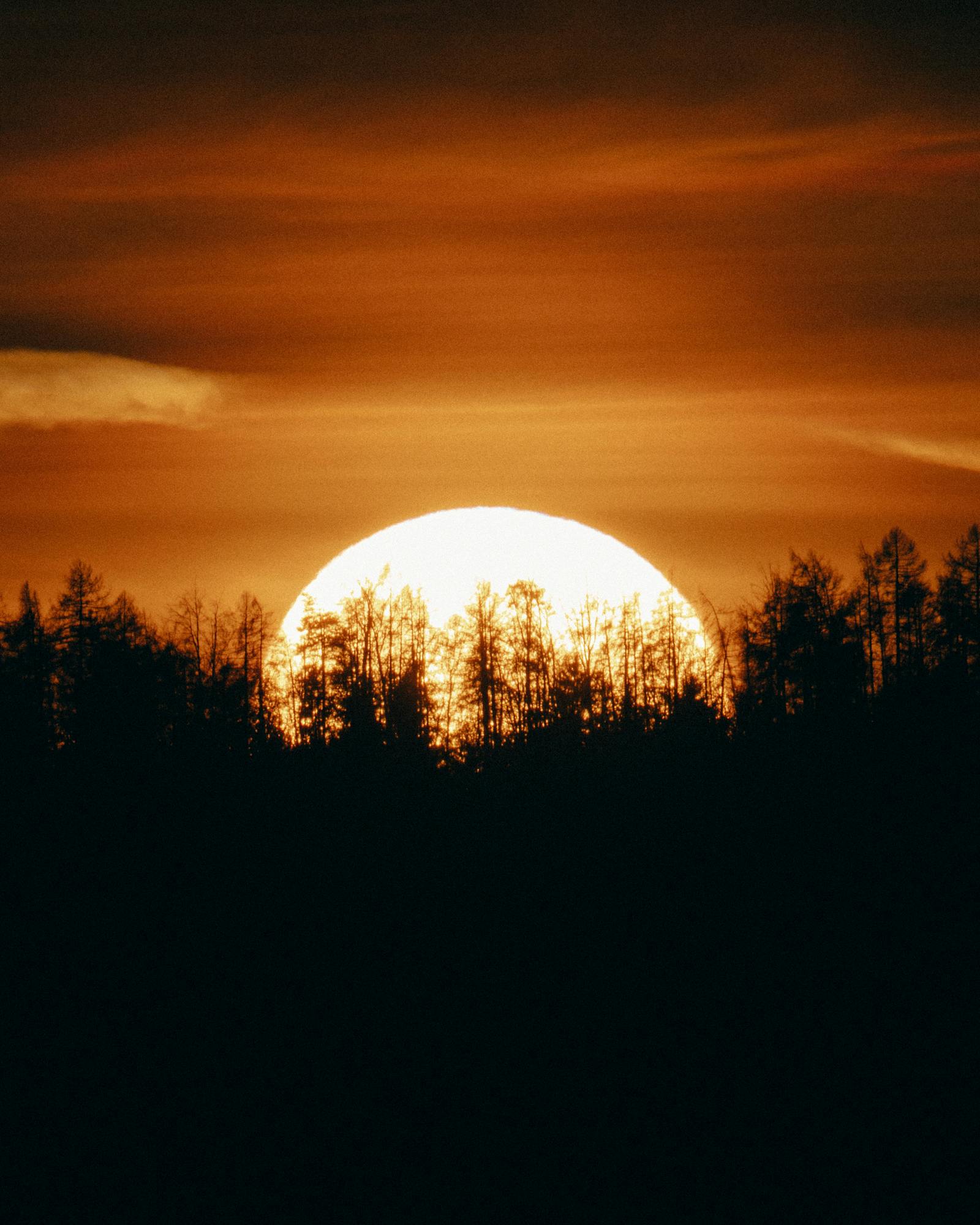 Dramatic sunset with silhouette of trees in Graz, Austria. Perfect for nature lovers.