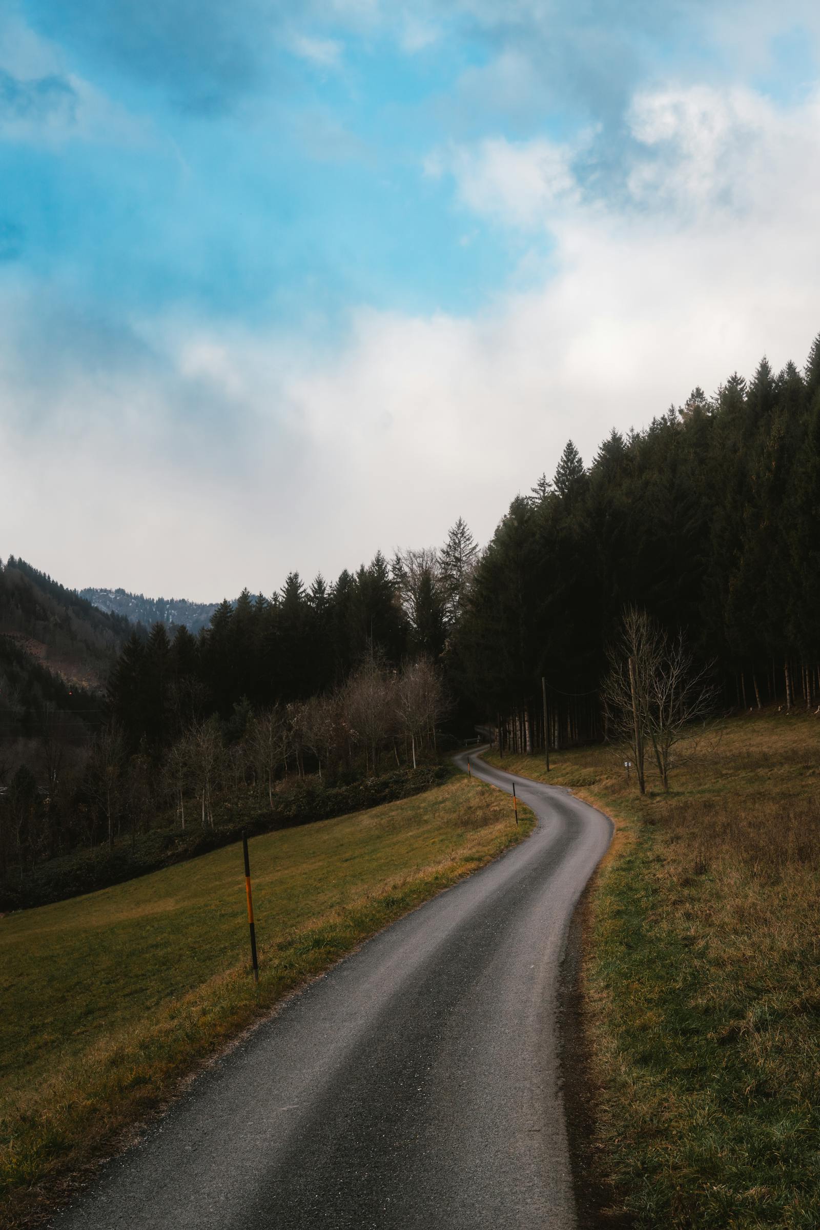 scenic road through austrian forest landscape