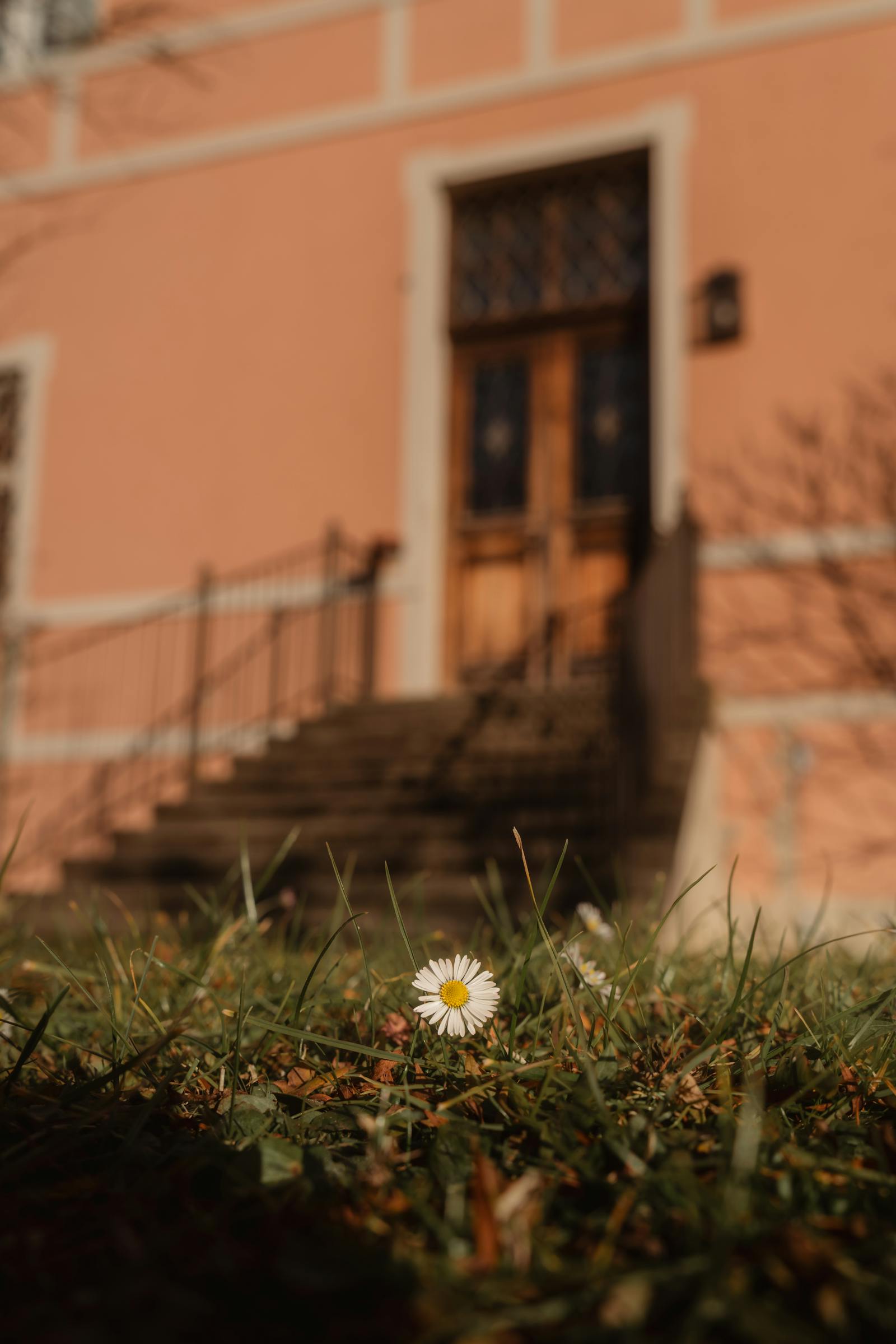 Flower Focus in Frohnleiten Austria