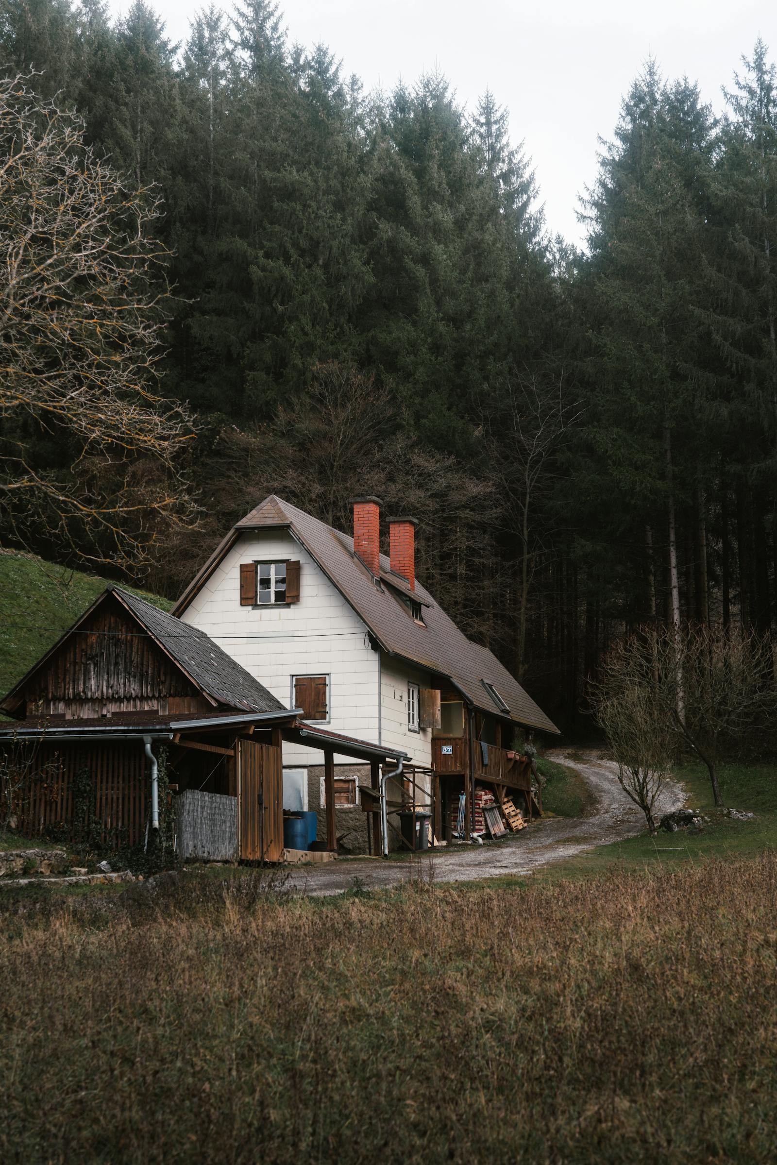 secluded rustic cabin in austrian woods