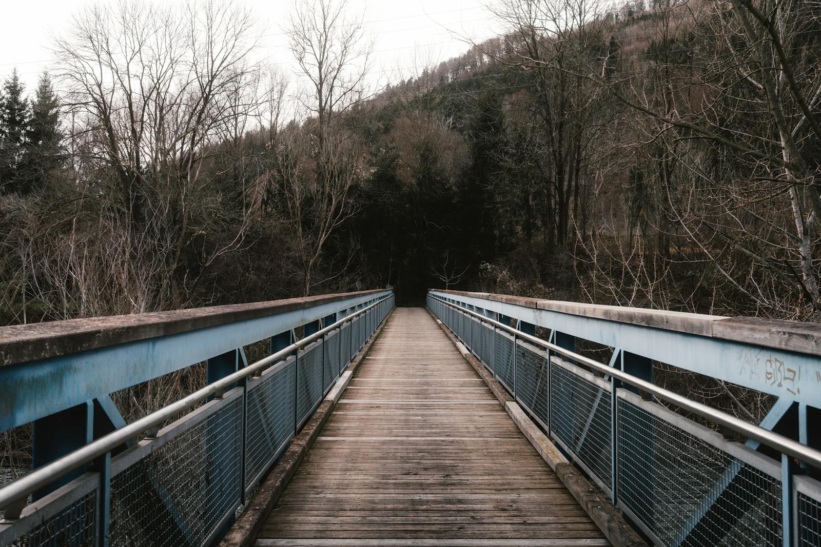 rustic wooden bridge in austrian forest