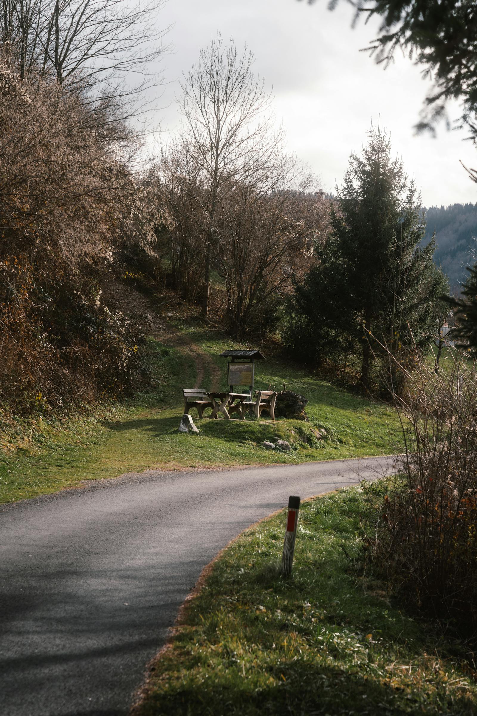 tranquil autumn pathway in austrian countryside