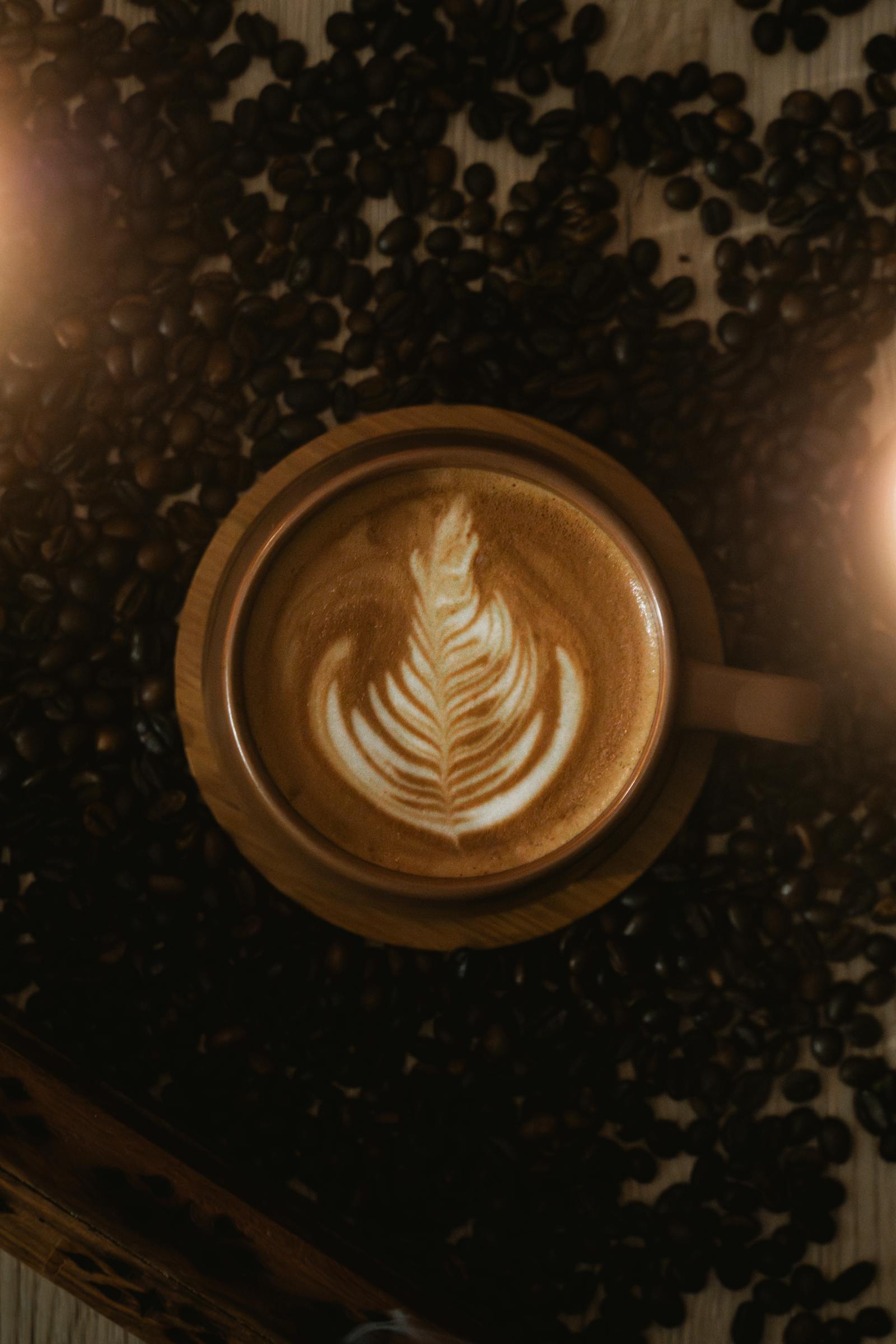 cozy latte art surrounded by coffee beans