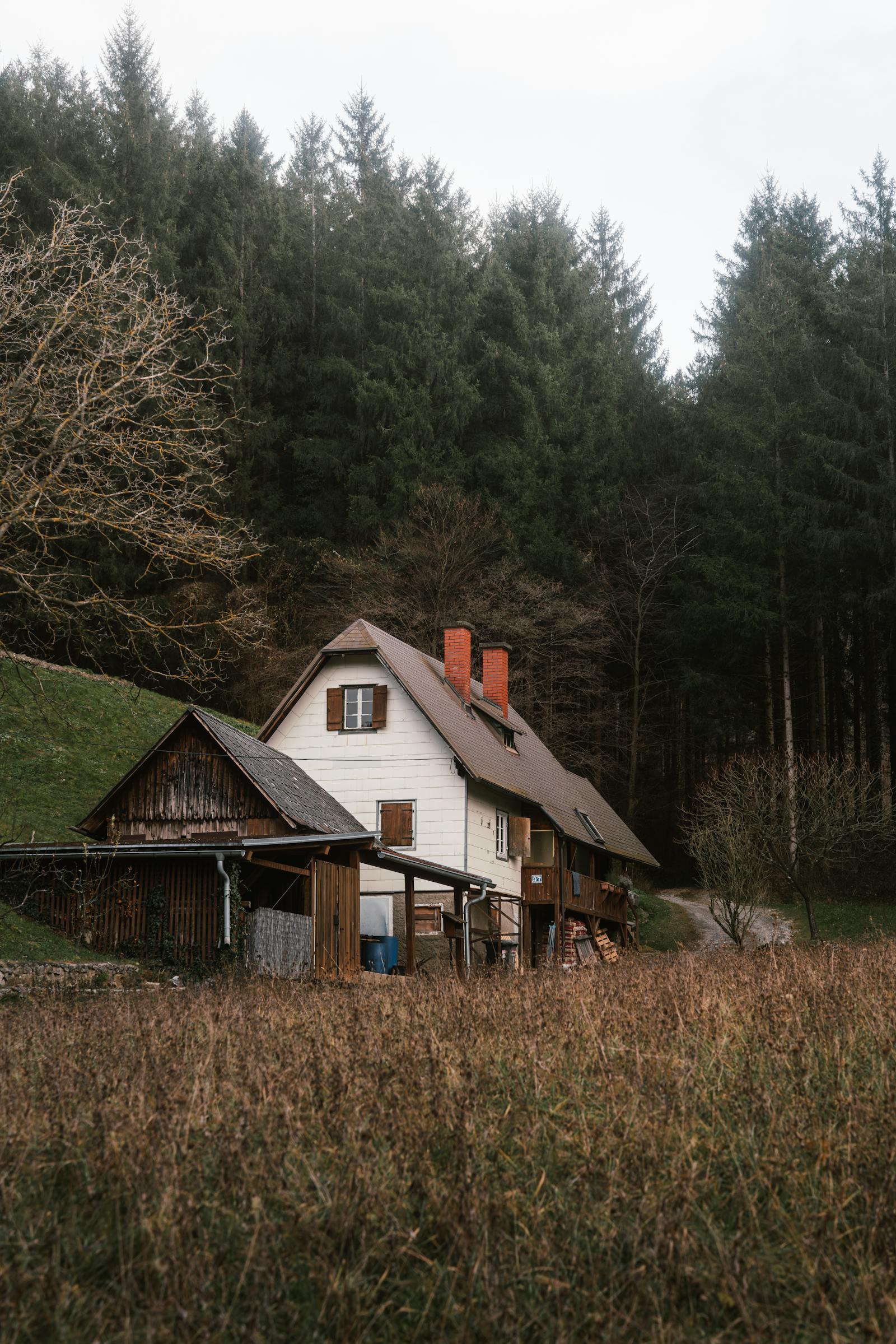 charming rustic cabin amidst austrian forest