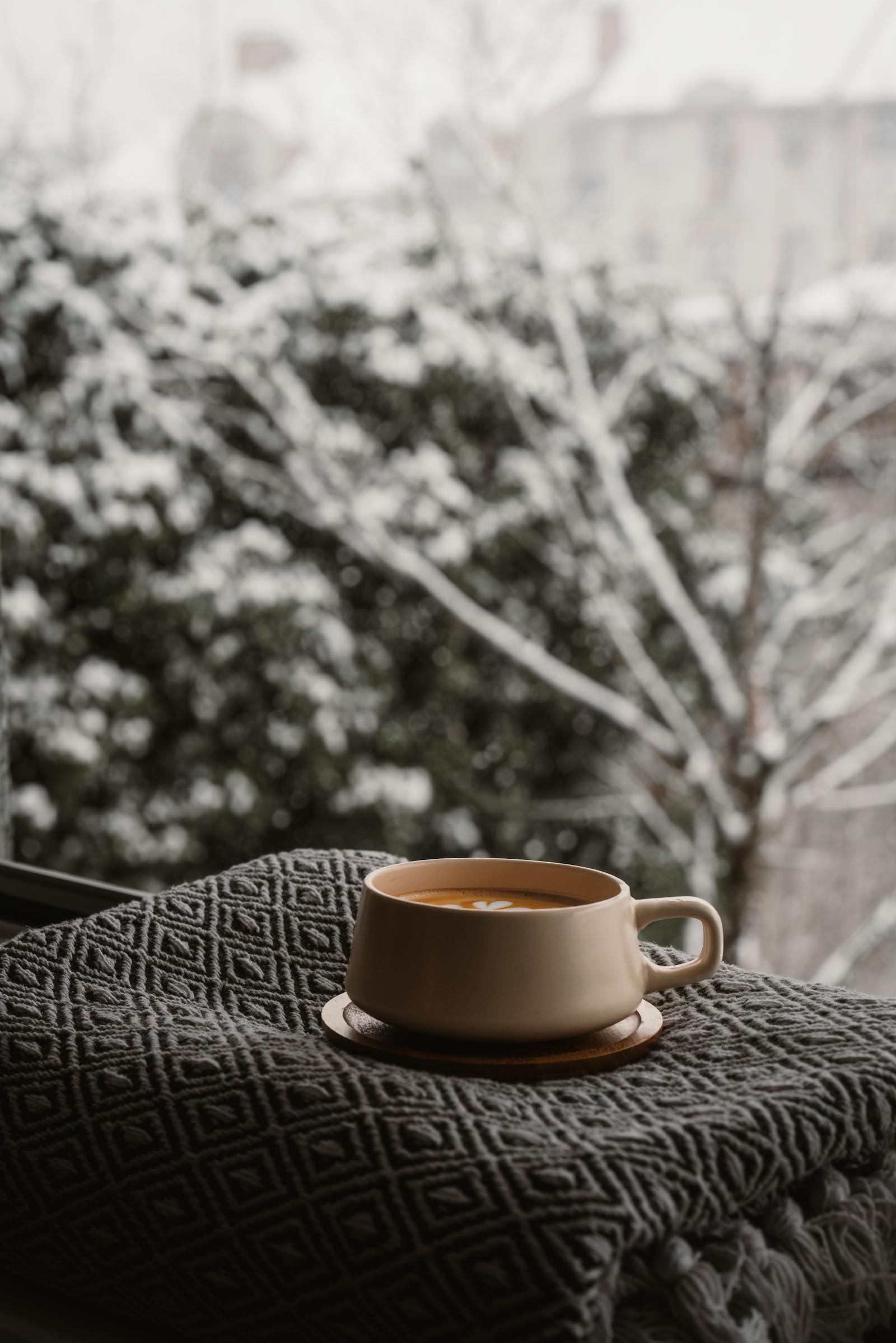 cozy coffee cup on blanket by winter window