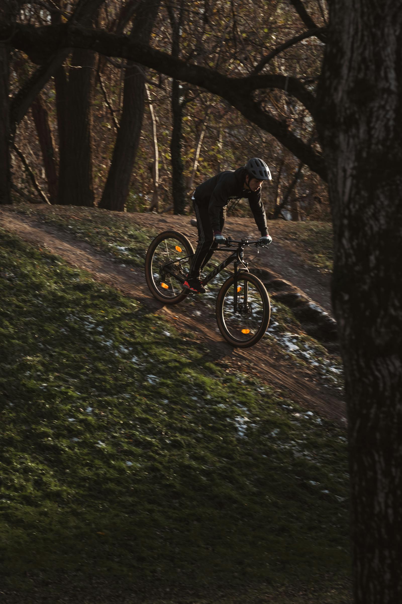 mountain biking adventure in graz forest