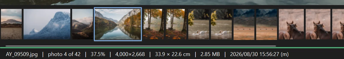 The end of the filmstrip with a green hairline running full width beneath it