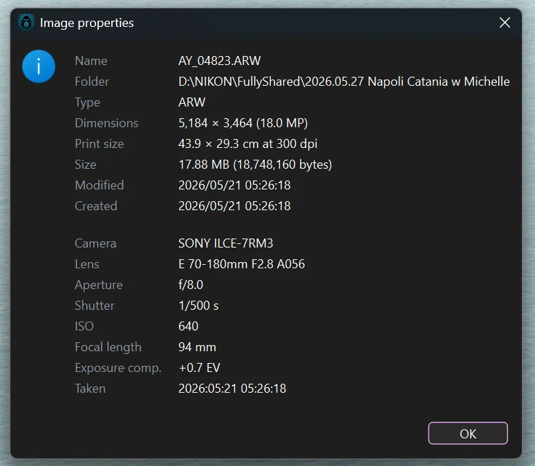 The Image properties dialog showing dimensions, print size and a full camera block