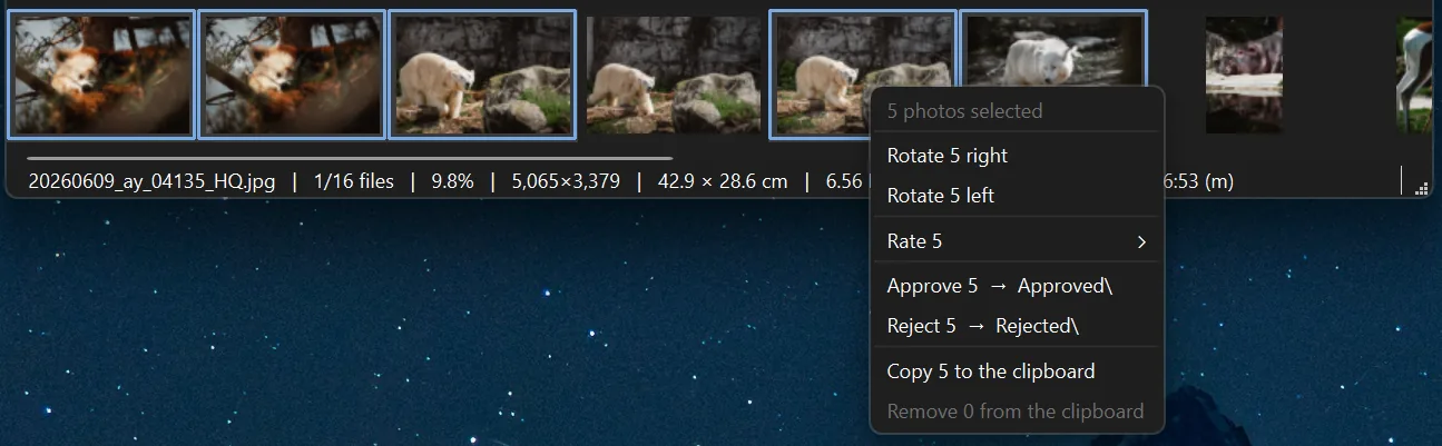 Five thumbnails outlined in the filmstrip with a context menu naming five photos